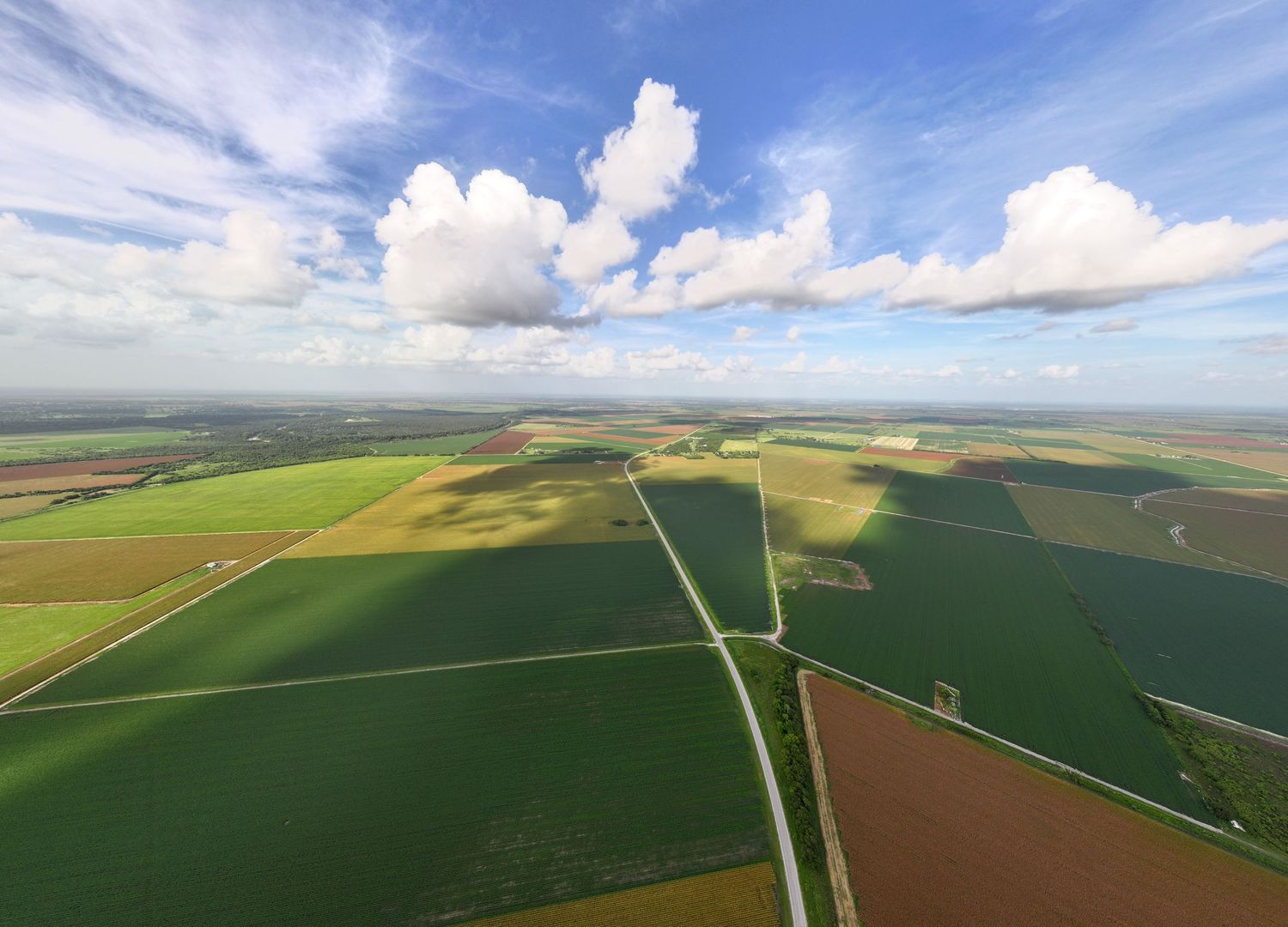 Aerial view of vast agricultural fields with green and brown patches under a blue sky with white clouds.