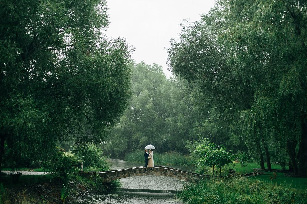 Person with umbrella standing on wooden bridge in lush green rainy forest.