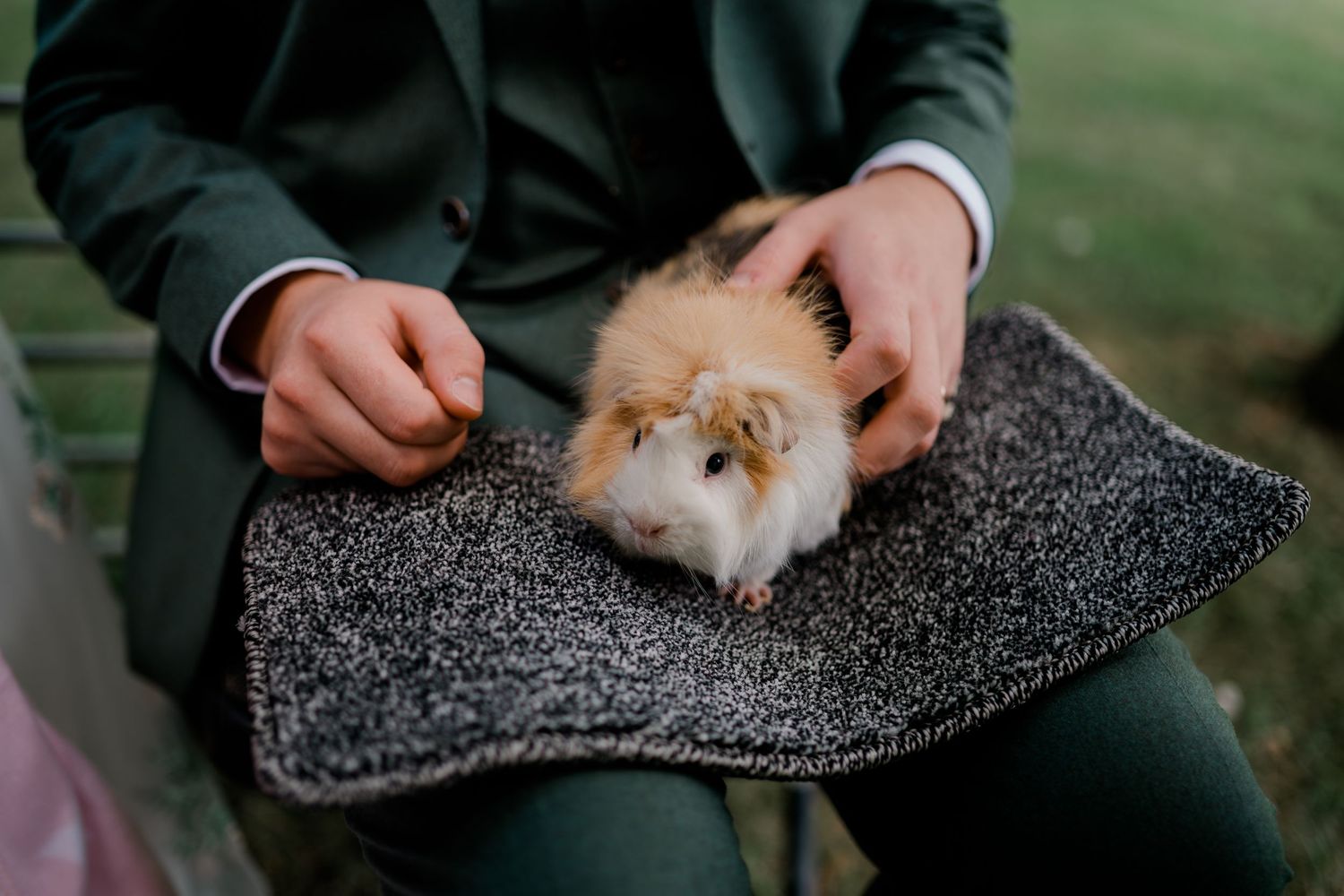 Small dog being held and comforted on a dark textured blanket outdoors.