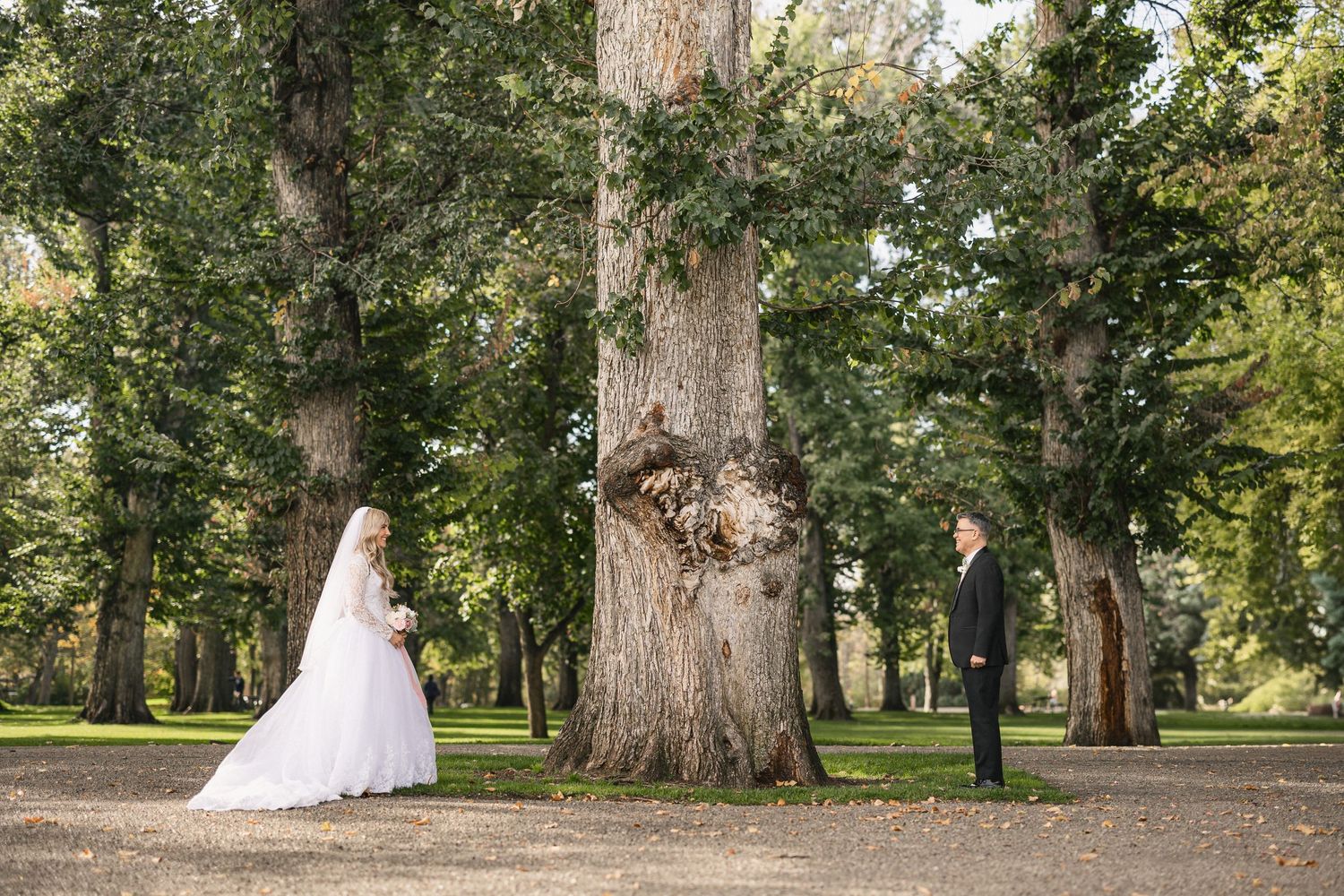 Creative wedding photo with couple standing apart near a large tree trunk in a forest setting.