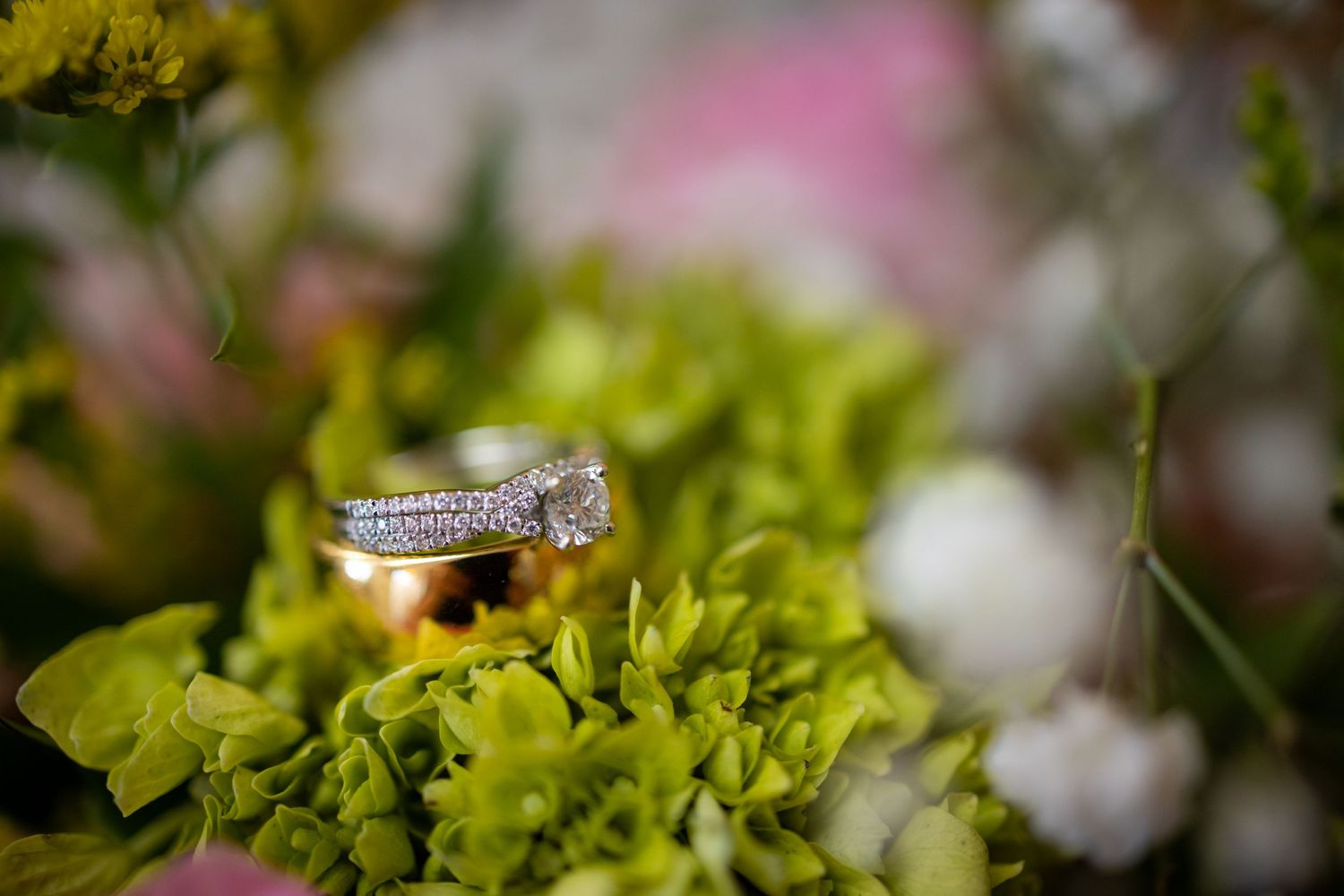 Diamond engagement ring nestled in green foliage with soft focus background.