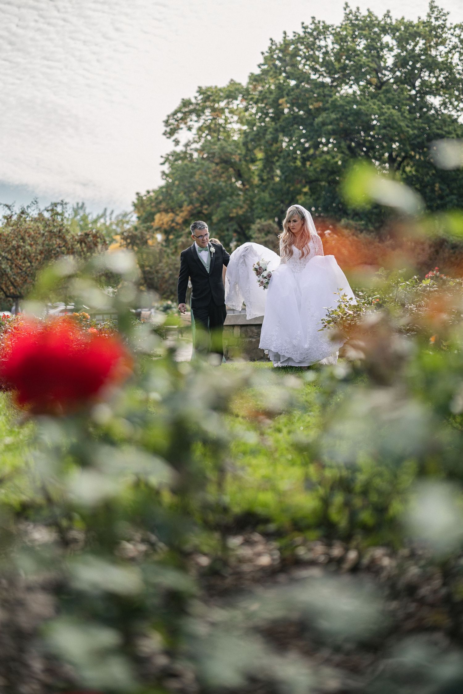 Wedding couple walks through garden with red flowers and greenery in foreground.