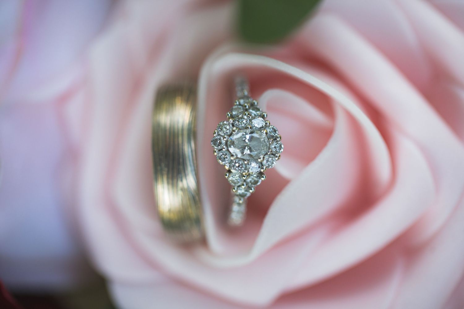 Two wedding rings nestled in the petals of a soft pink rose with diamond engagement ring.