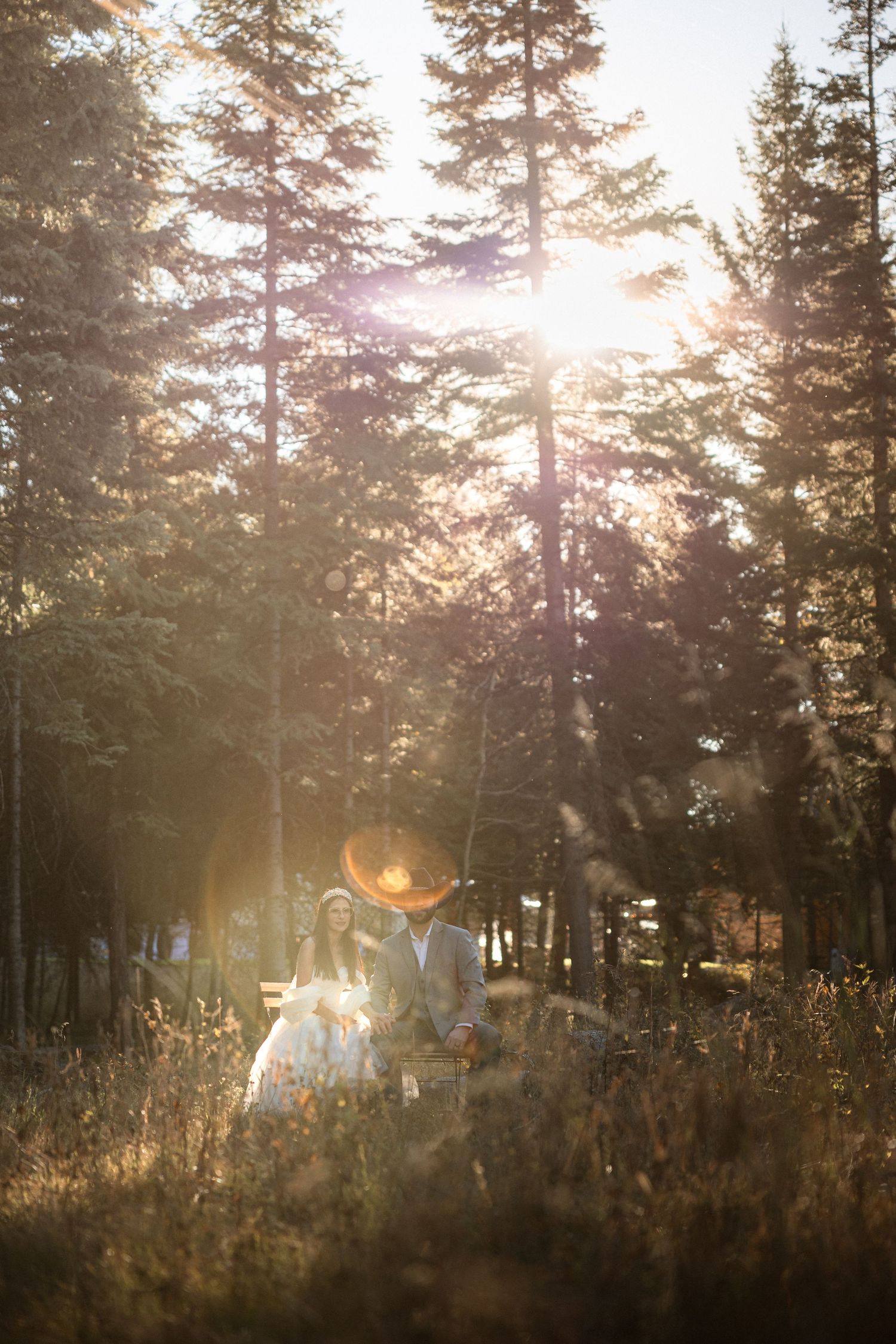 Golden sunlight filters through pine trees as silhouettes move through a misty forest scene.