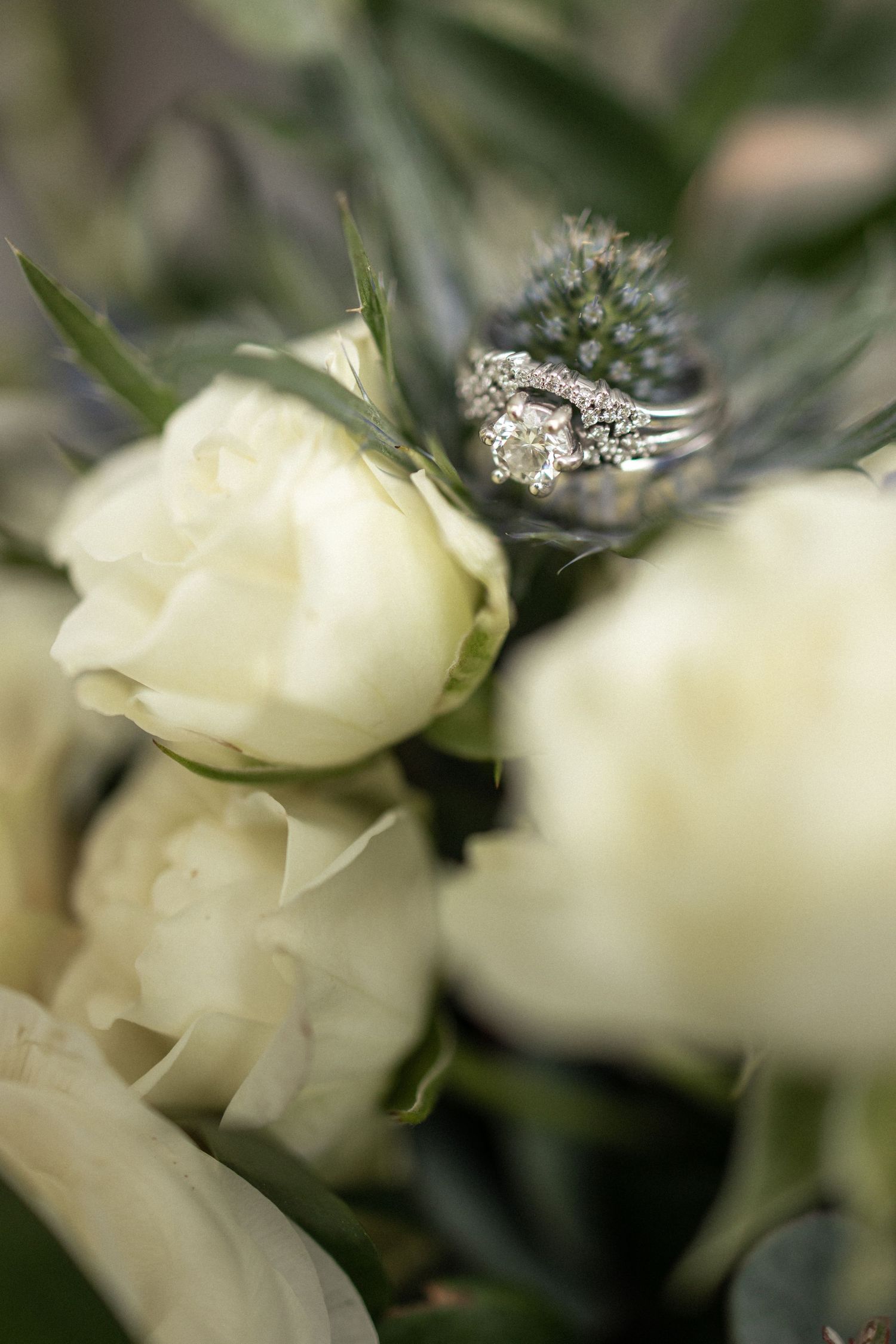 Diamond engagement ring nestled among white roses in soft focus.