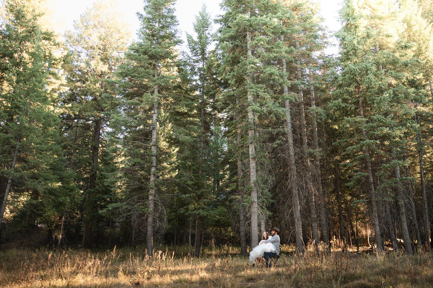 Bride and groom embrace in a sunlit forest clearing surrounded by tall pine trees.