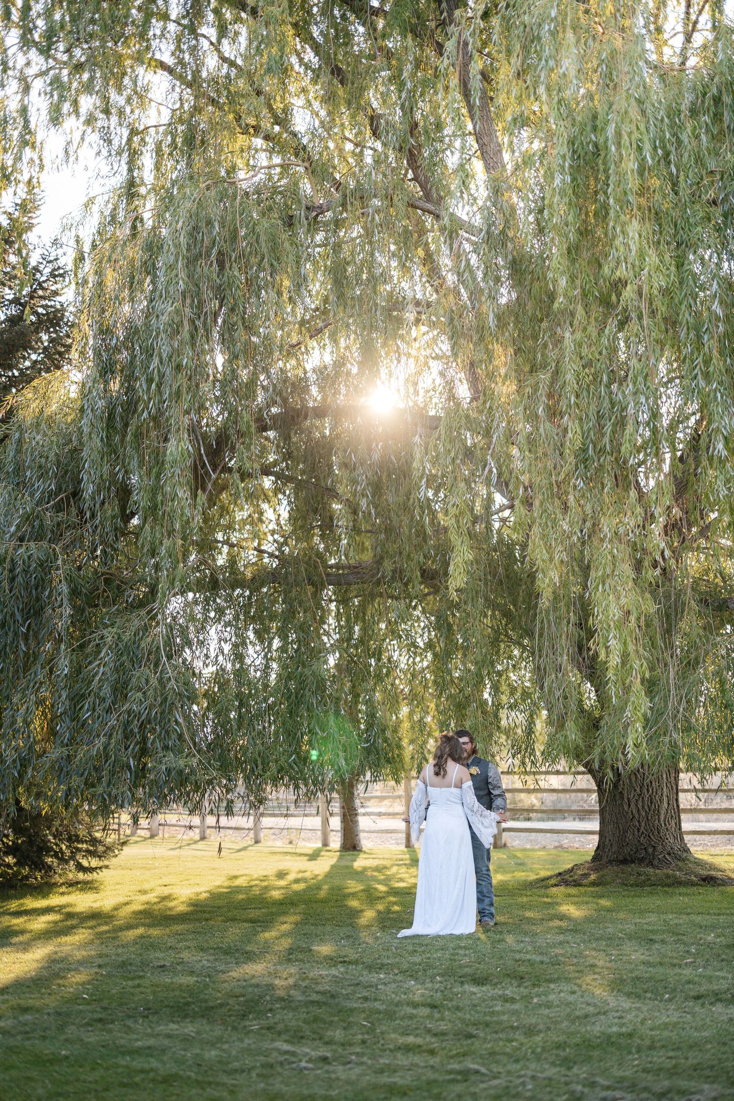 A couple shares an intimate moment under graceful willow trees in a sunlit garden setting.