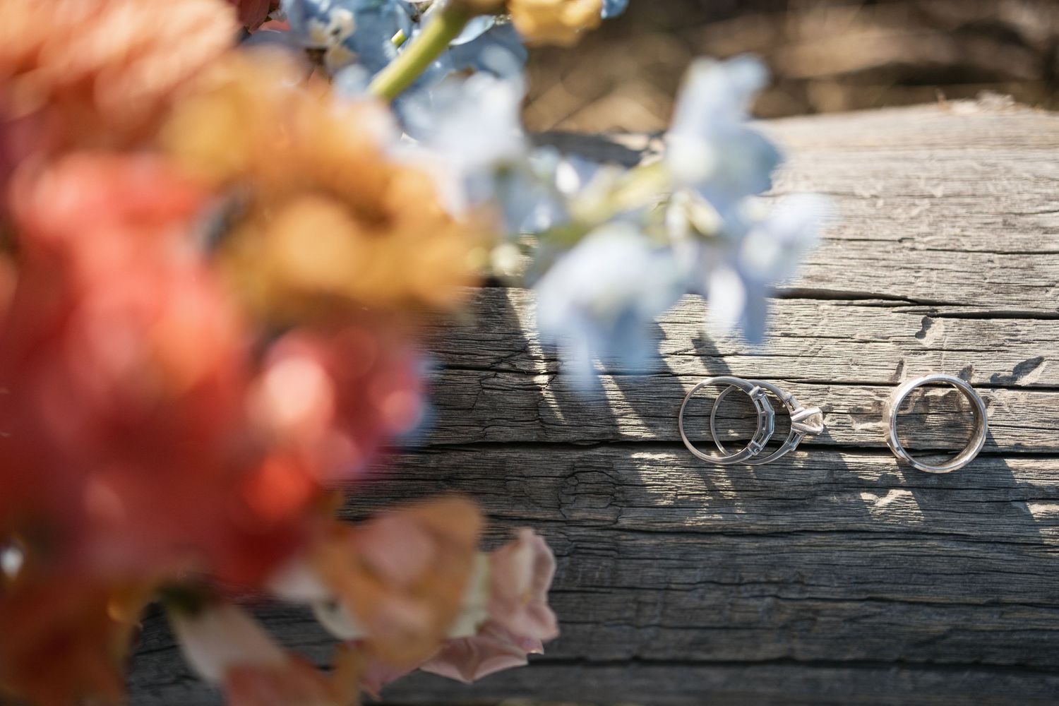Wedding rings on rustic wood with soft focus flowers in foreground.