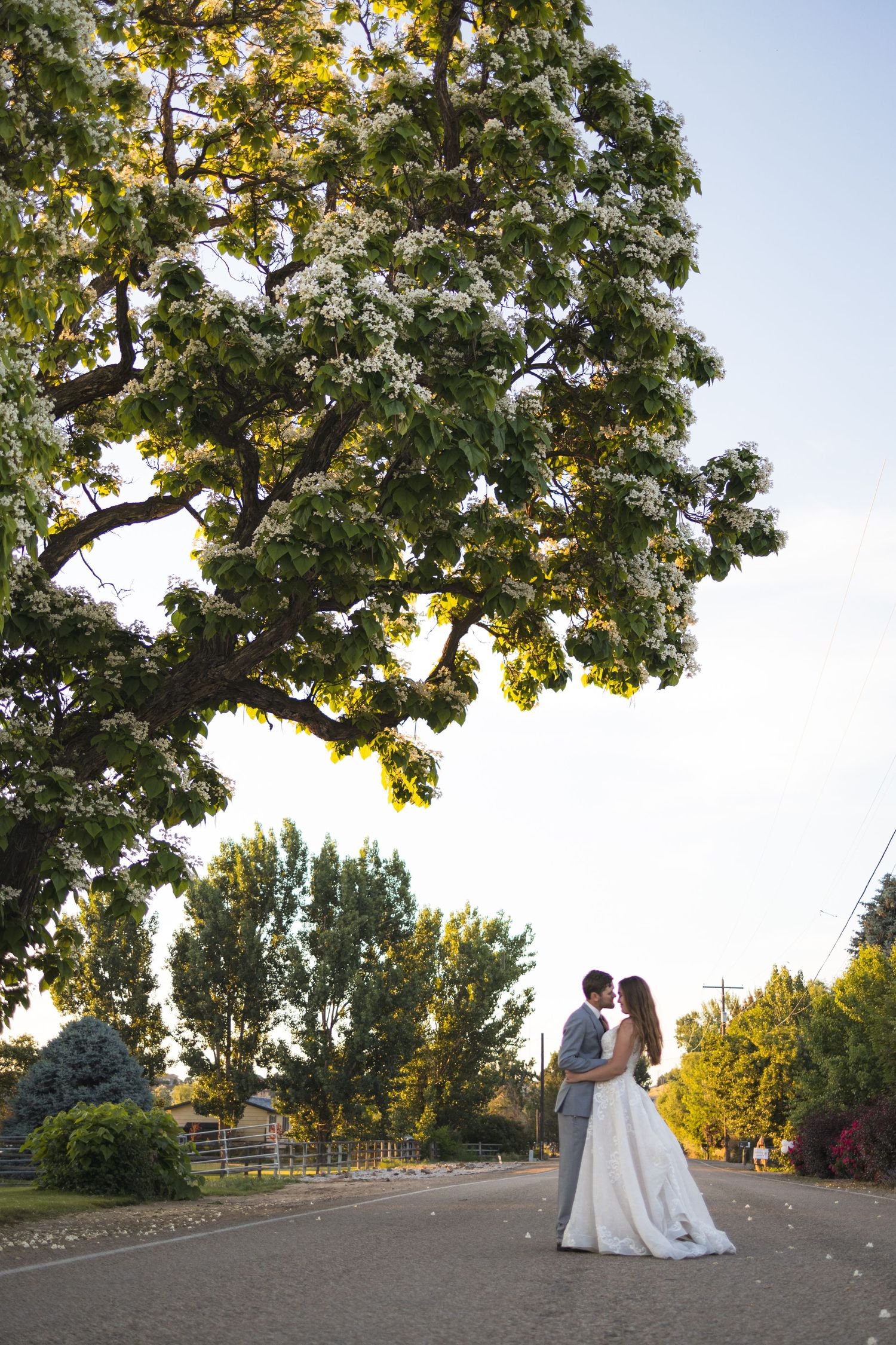 A wedding couple stands beneath a majestic tree during their outdoor photo session.