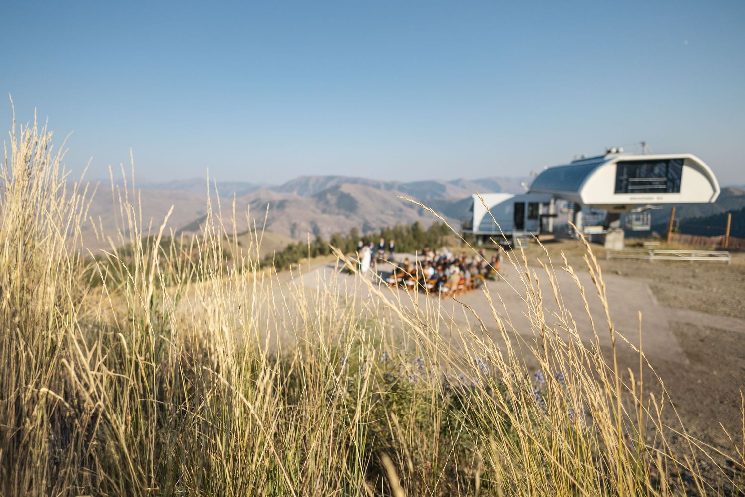 Panoramic view of a coastal beach landscape with tall grass in the foreground and mountains in the distance.