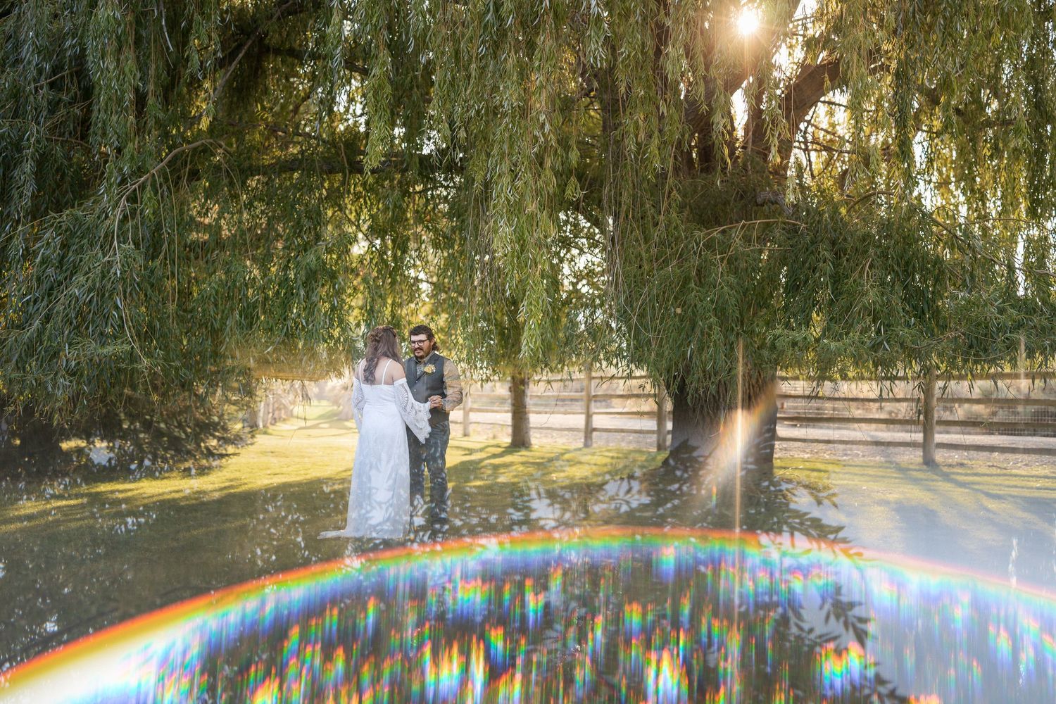 Rainbow appears through water spray in a park with willow trees and golden sunlight during sunset.