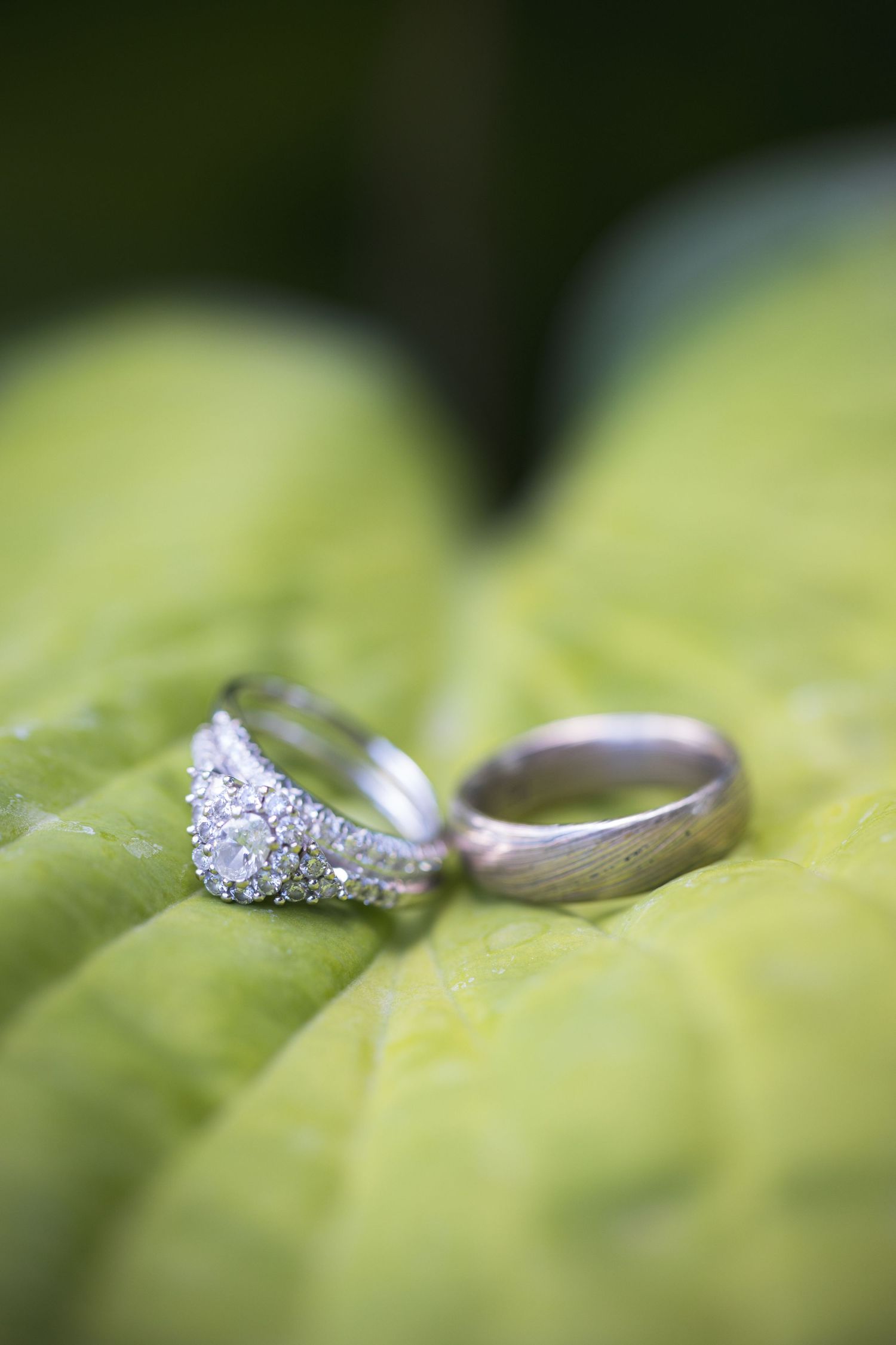Wedding bands with a sparkling diamond engagement ring resting on a green leaf in soft focus.