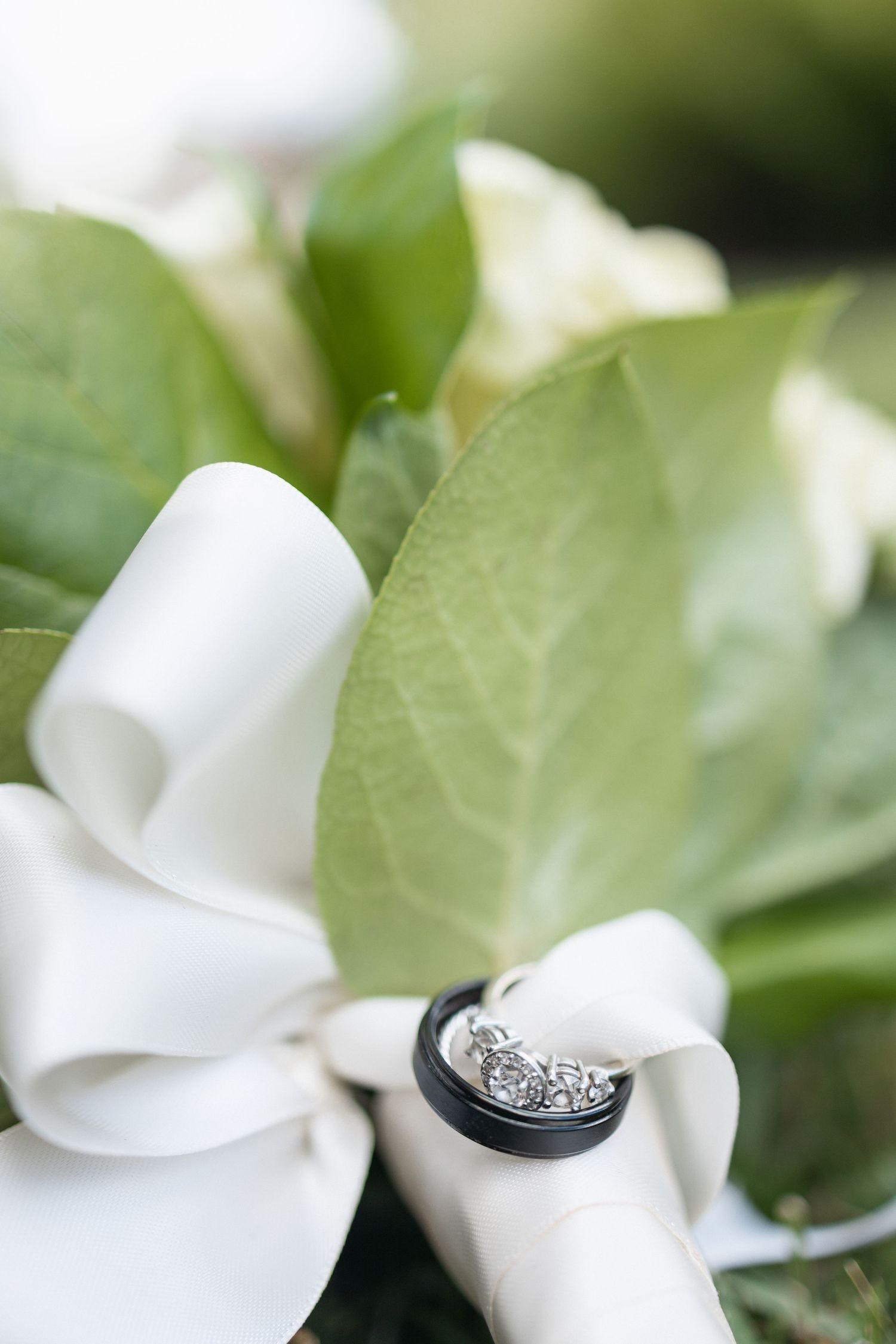 Artistic close-up of white rose petals and wedding rings with soft green background.
