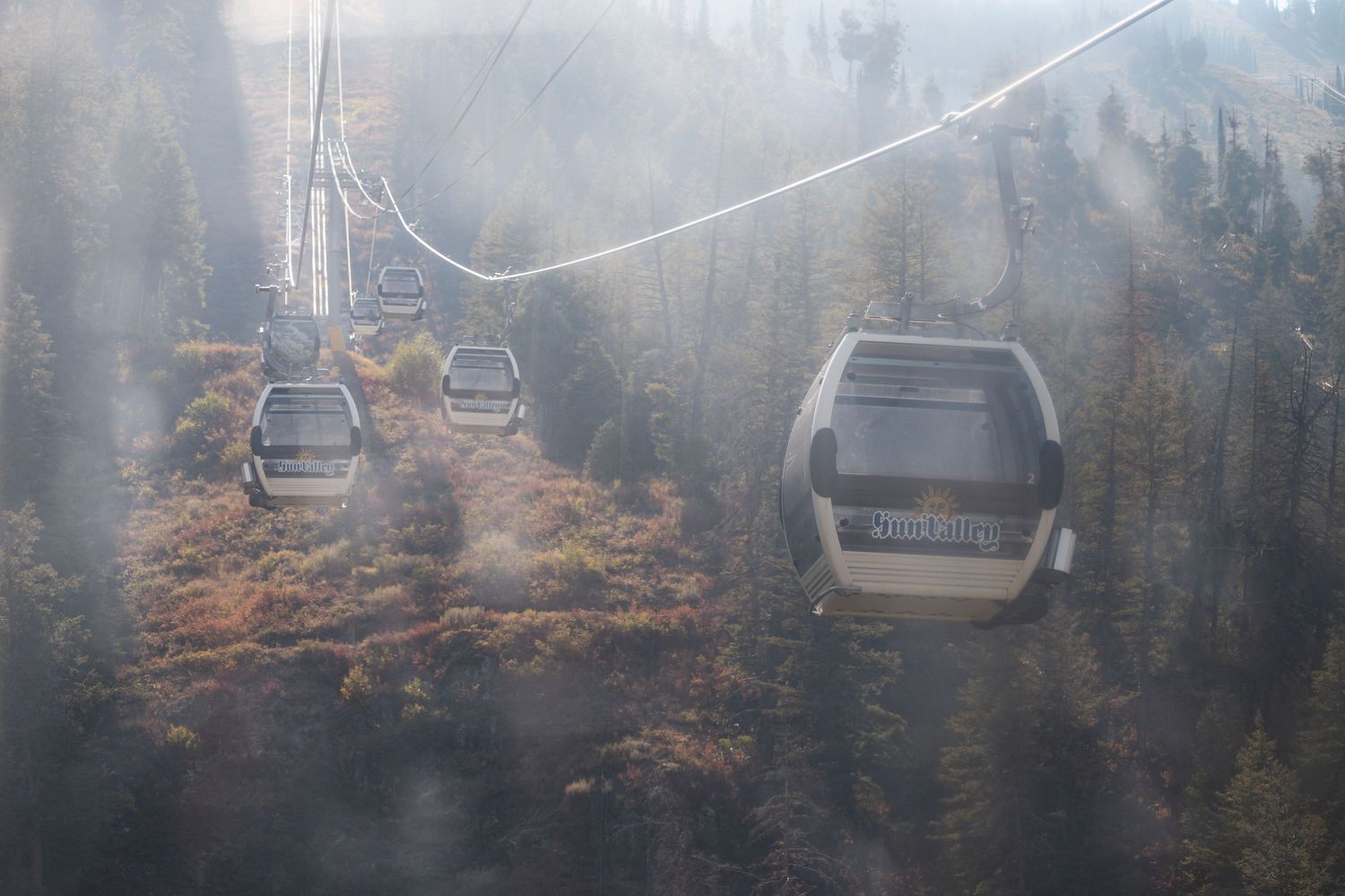 Misty ski lift chairs moving through foggy mountain landscape with evergreen trees.