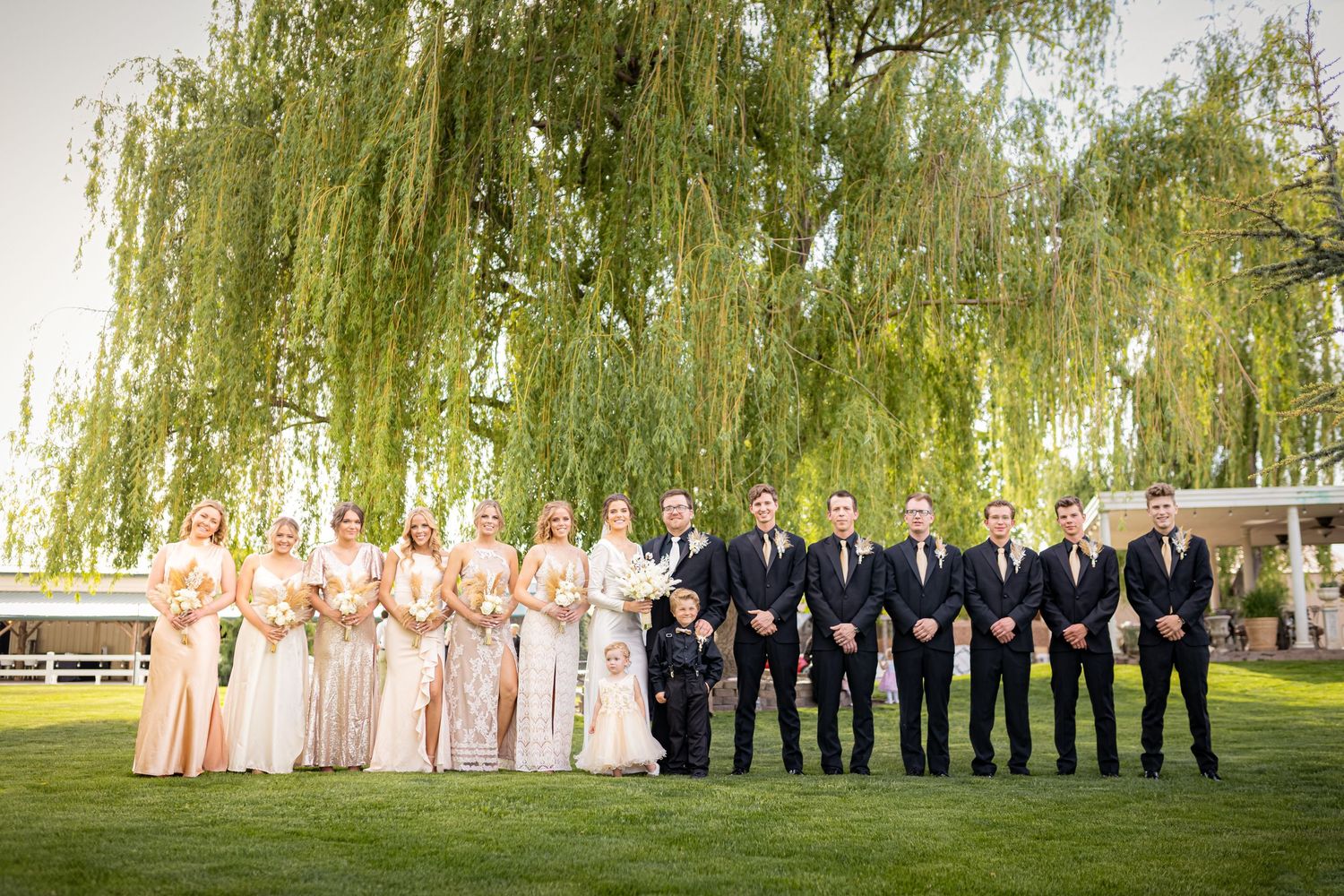 Wedding party in formal attire lined up on grass under weeping willow tree for formal portrait.