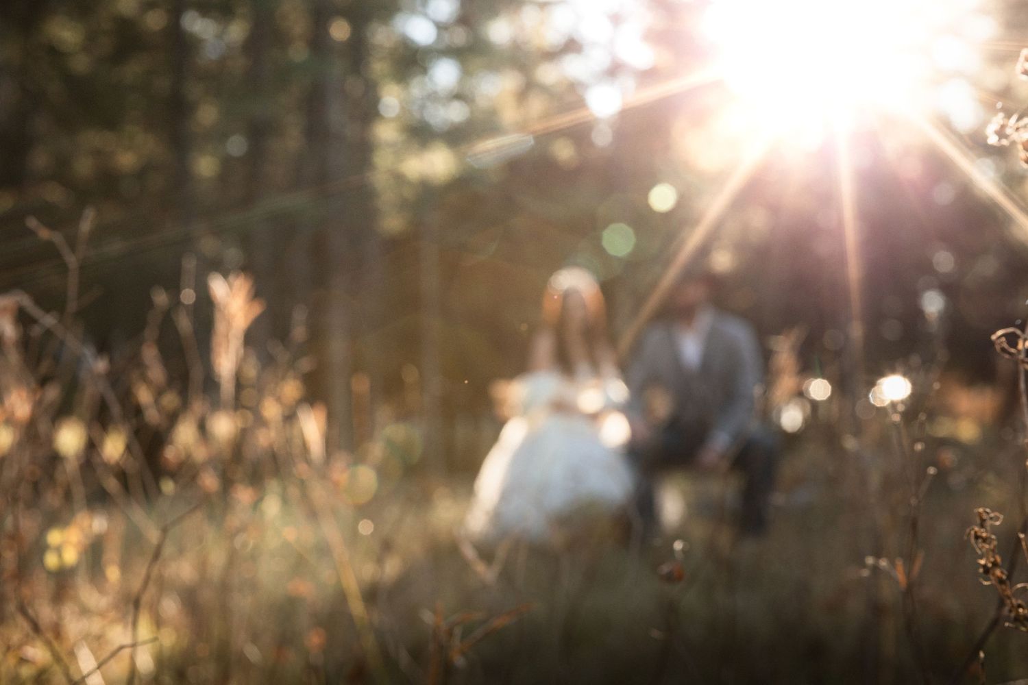 Blurred romantic shot of a wedding couple walking through a sunlit forest.