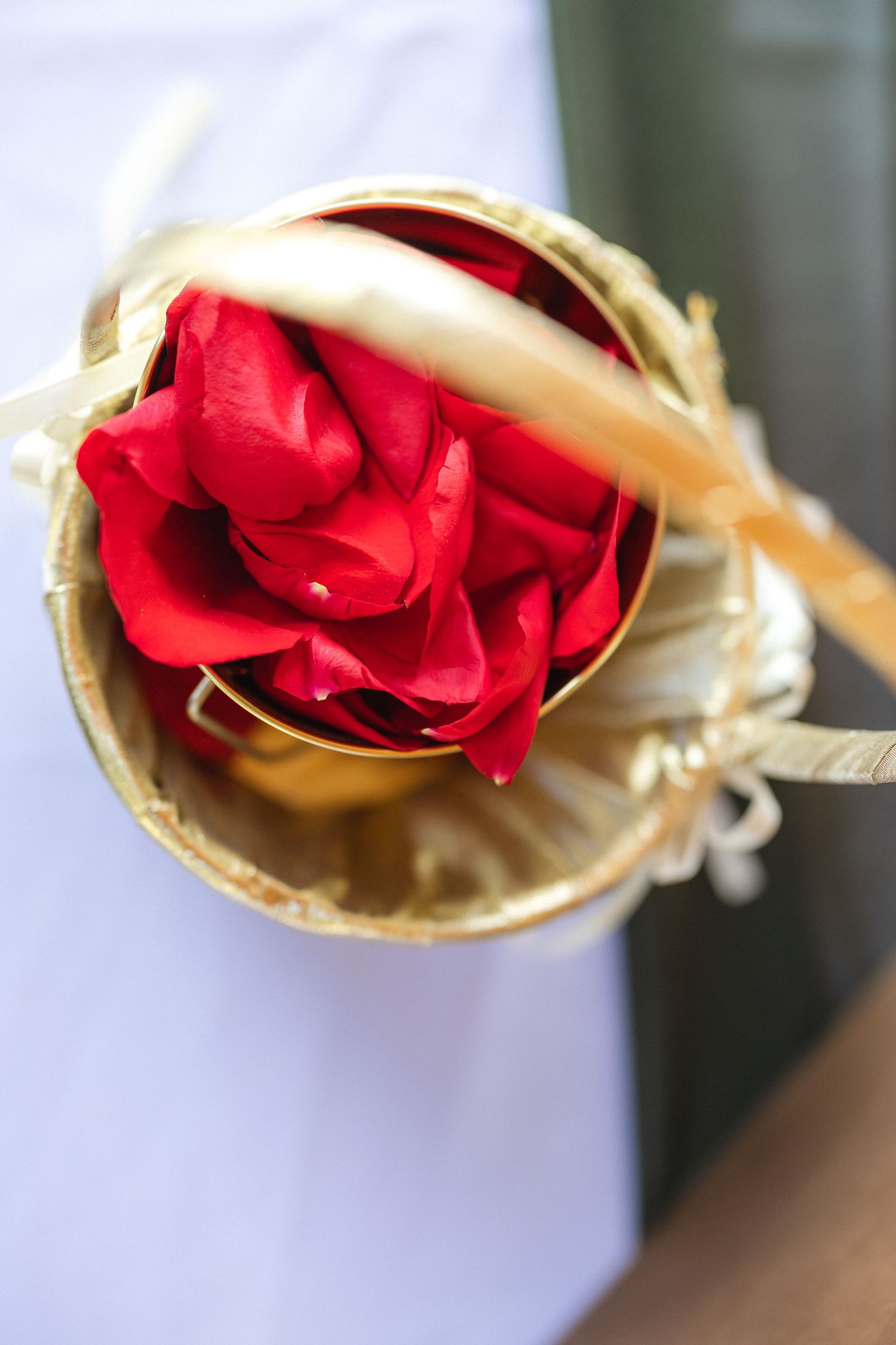 A close-up of a red rose in a golden holder against a white background.