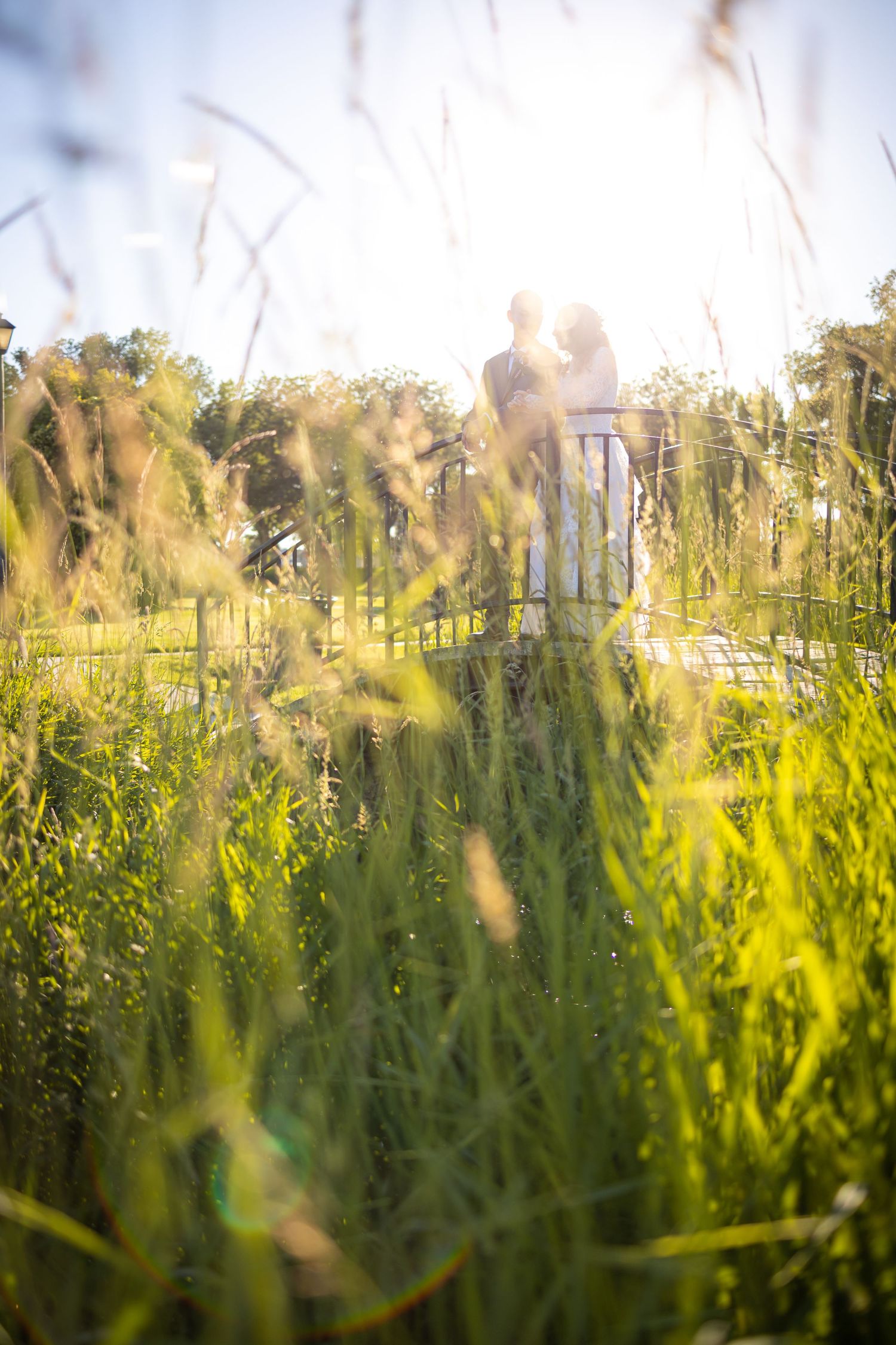 Romantic silhouette of couple through tall summer grass with sunlight creating dreamy effect.
