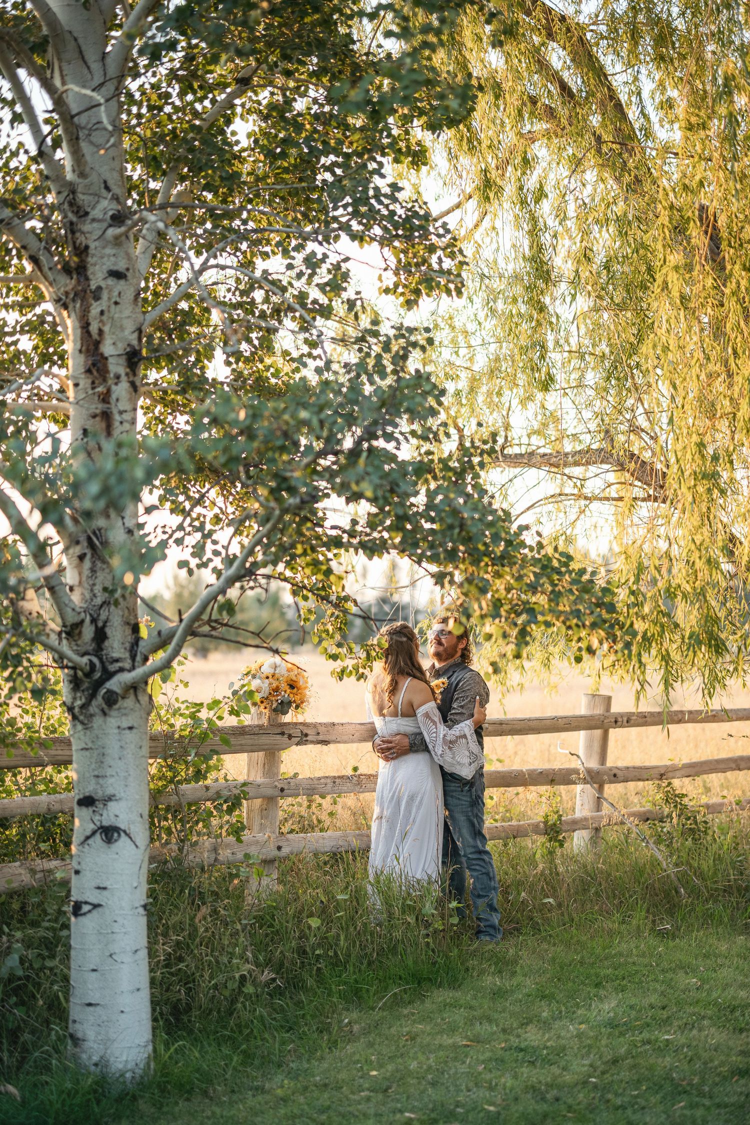 Romantic couple embraces beneath a weeping birch tree at sunset with a rustic wooden fence in the background.