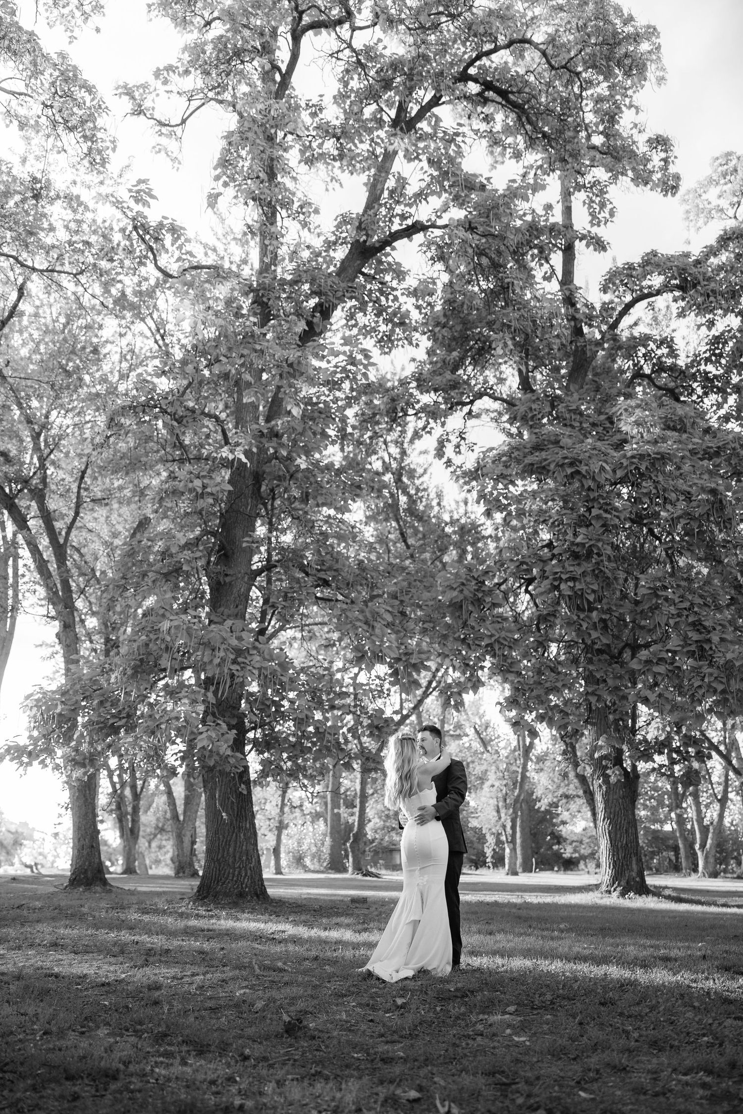 Silhouetted wedding couple embracing under tall trees in black and white photography.