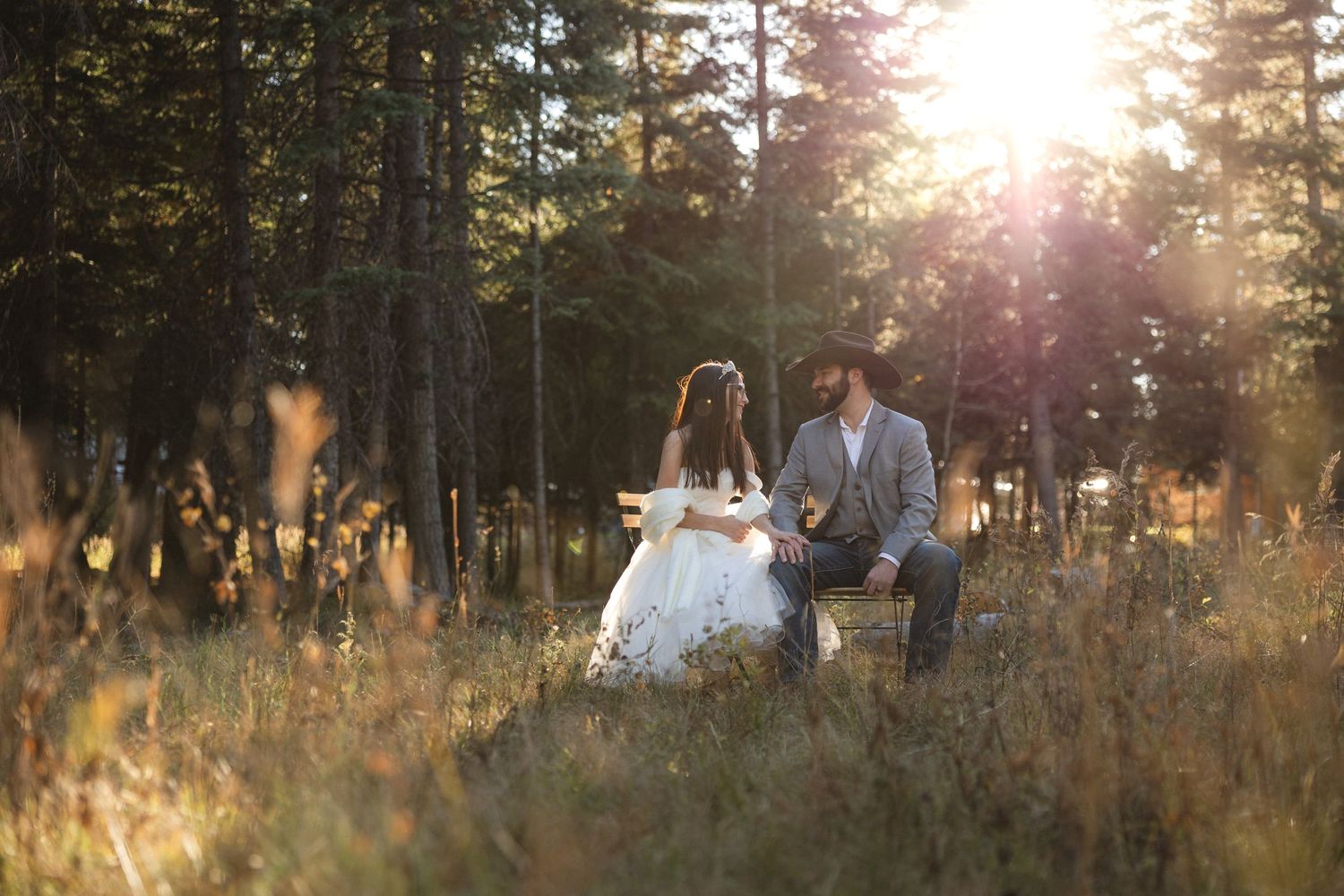 A wedding couple sits in a sunlit meadow with golden light filtering through pine trees.