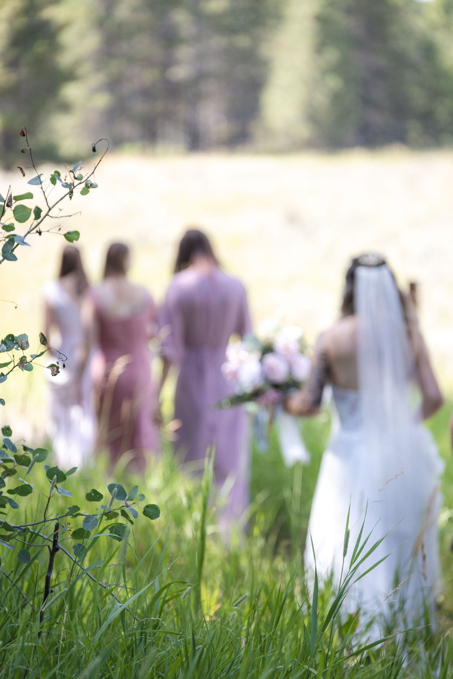Soft focus view of wedding party members in pastel dresses standing in a sunny meadow.