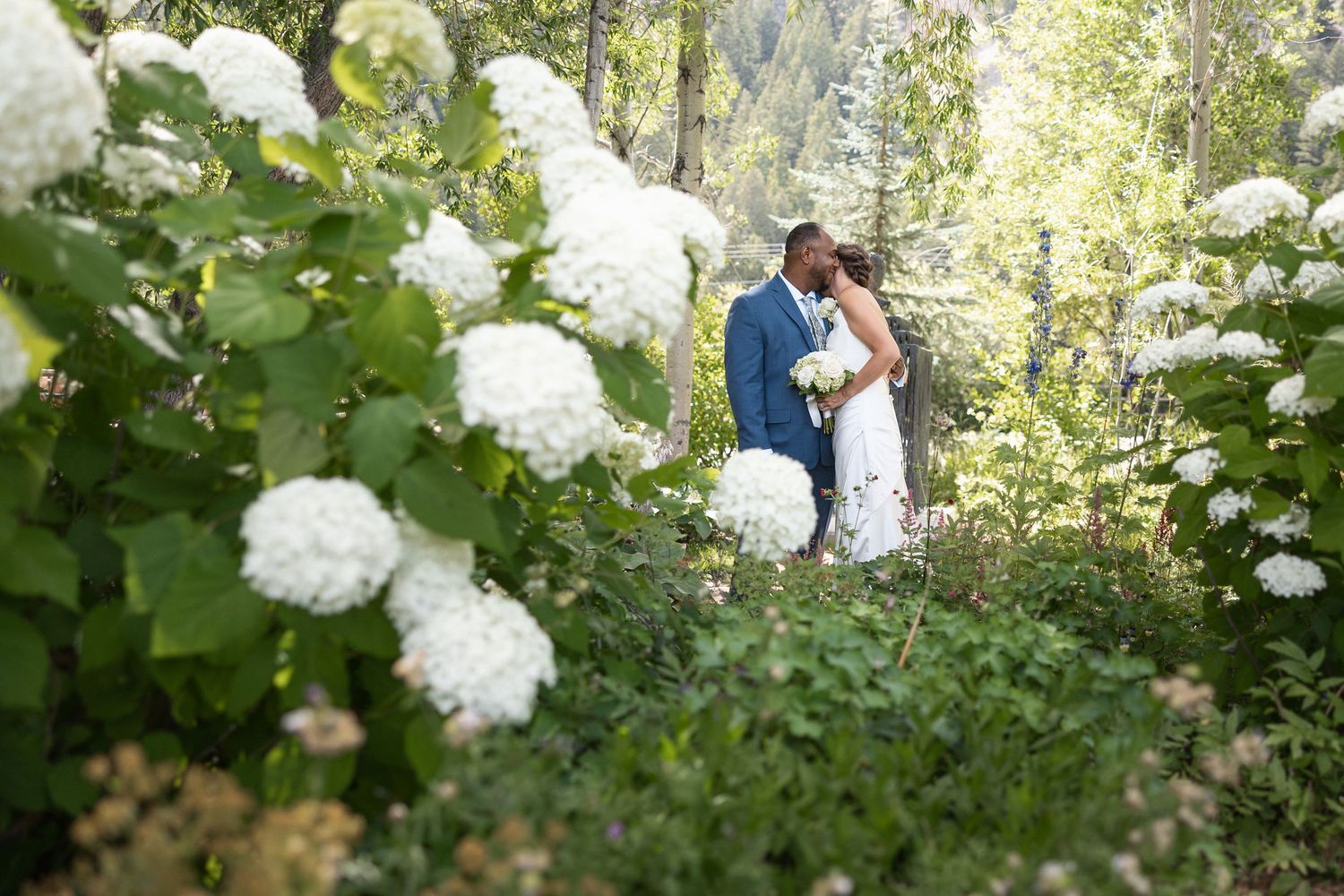 Garden wedding scene with white hydrangea bushes and natural greenery.
