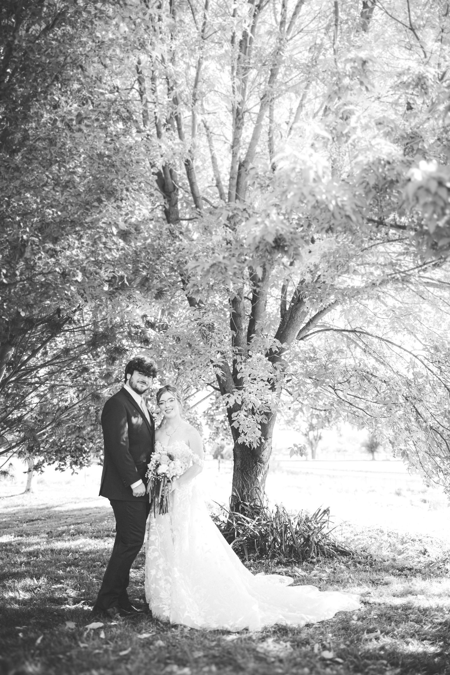 Black and white wedding portrait under trees in dreamy outdoor setting.