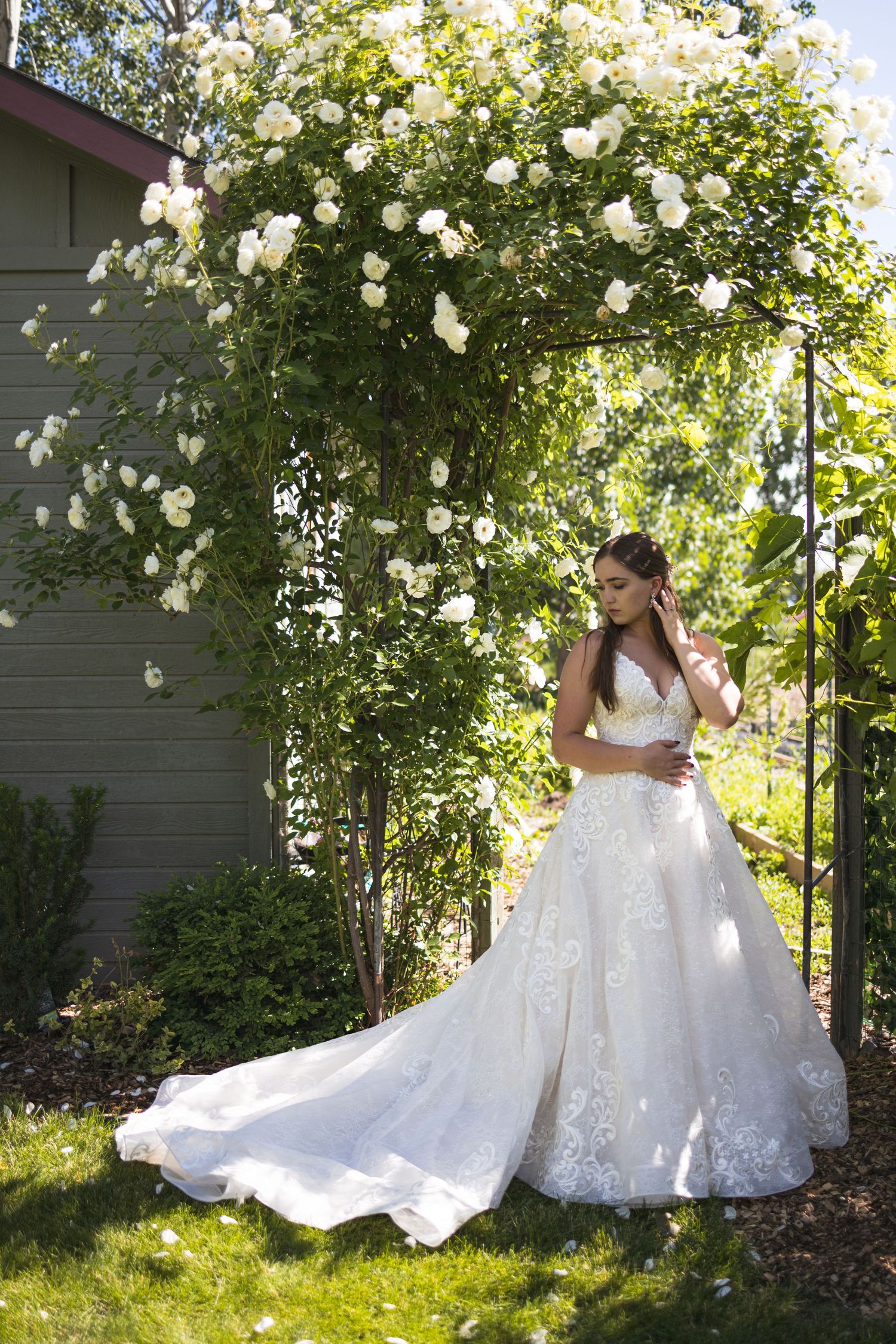A stunning white wedding dress with lace details photographed under blooming white roses in a garden setting.