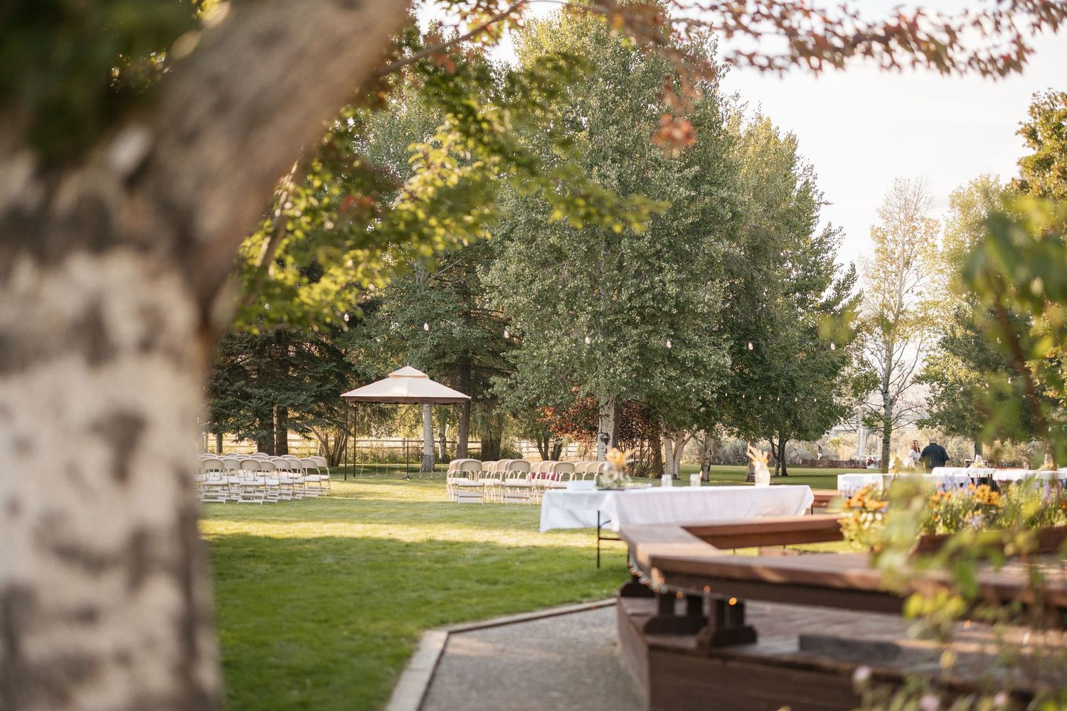 Scenic autumn park landscape with colorful fall foliage and scattered trees along a grassy area at sunset.