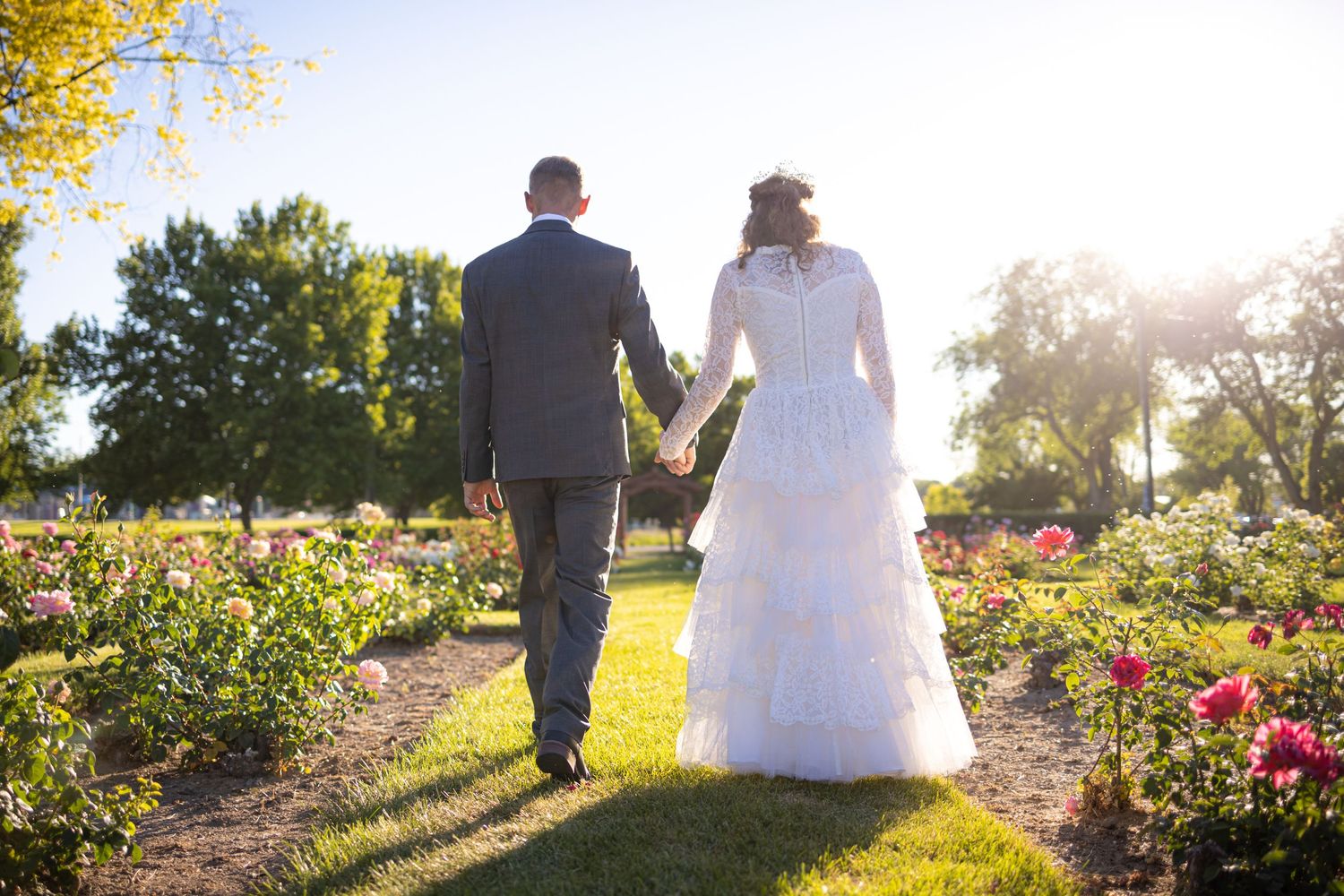 Back view of couple walking through blooming rose garden at golden hour.