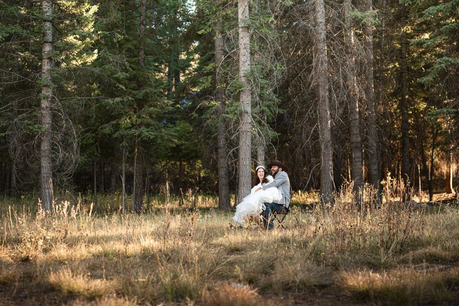 Wide panoramic view of a forest wedding photoshoot with tall pine trees in golden light.