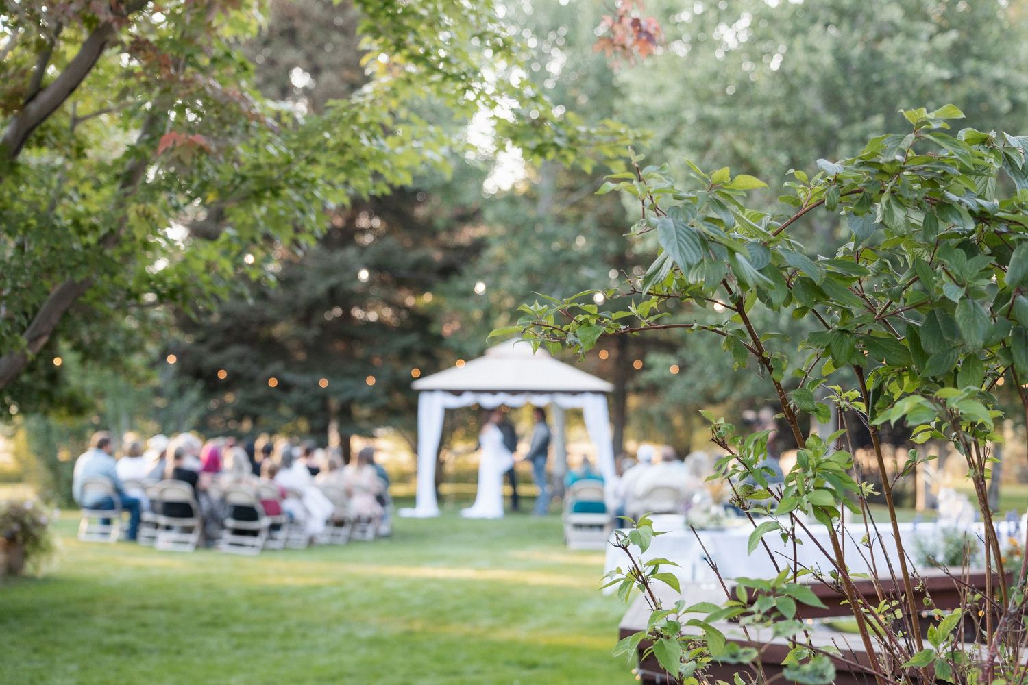 Outdoor wedding ceremony setup with white chairs arranged in rows on a lush green lawn surrounded by trees.