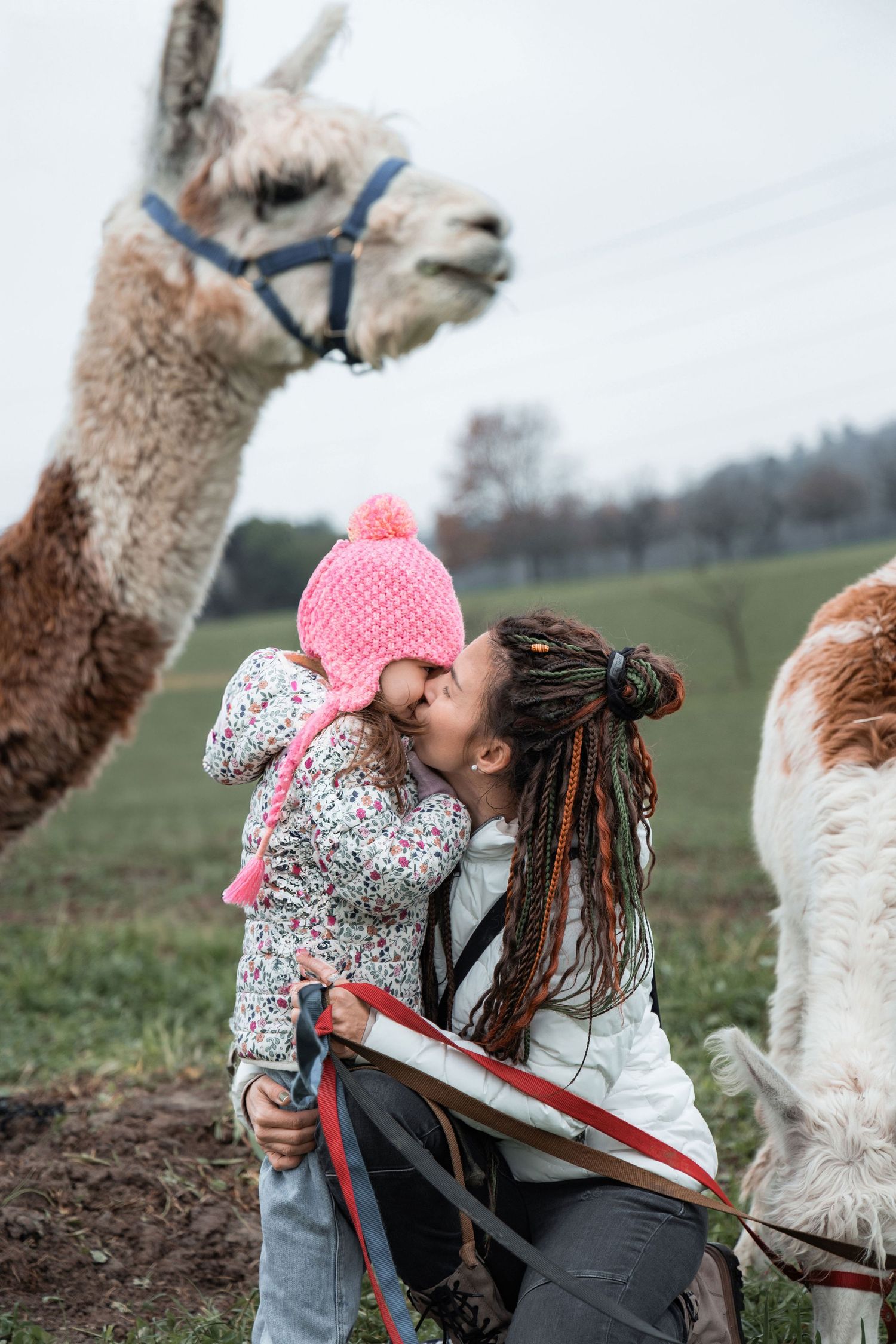 Mother kissing her daughter with alpacas in the background during a lifestyle family photoshoot.