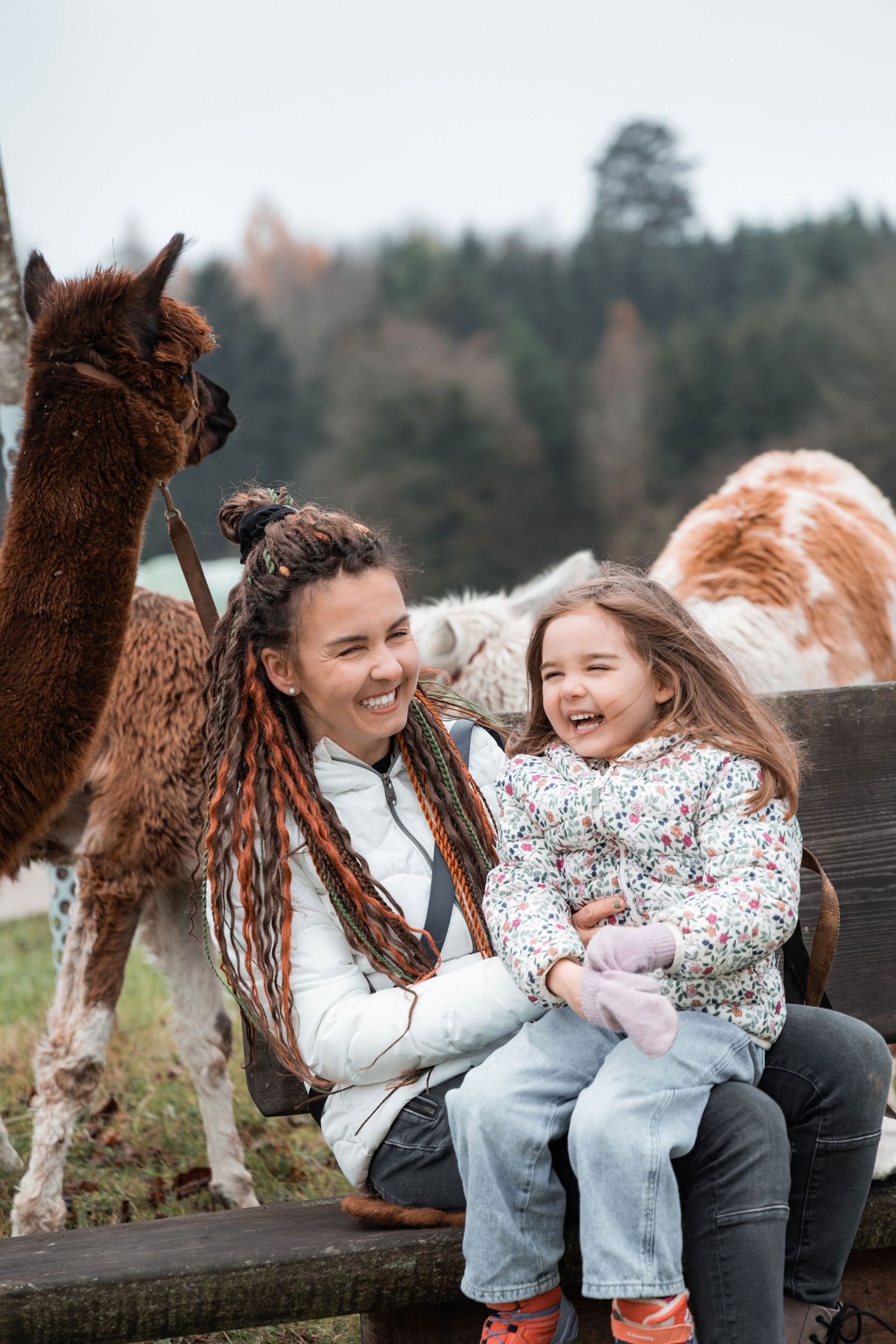 Mother and daughter sitting on a bench with alpacas in the background during a family photoshoot in Switzerland.