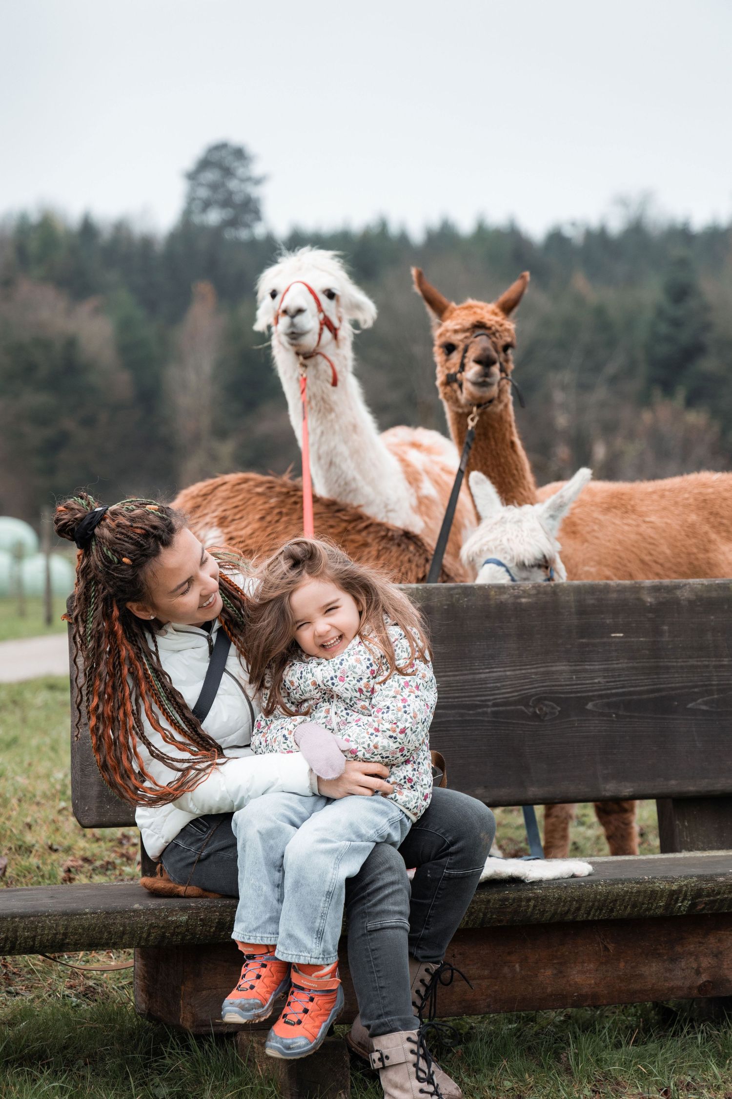 Mother and daughter sitting on a bench with alpacas in the background during a family photoshoot in Switzerland.