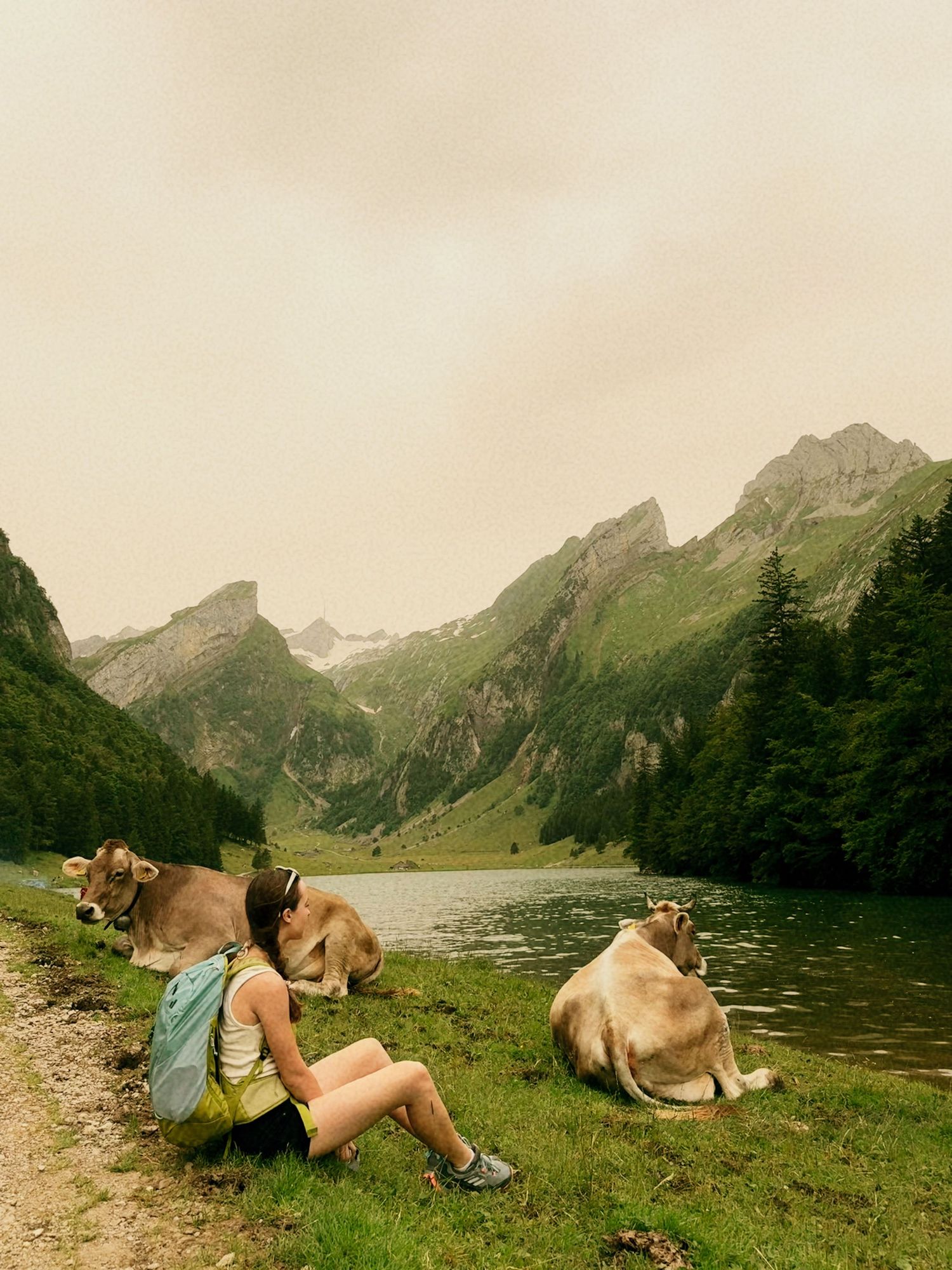 Authentic lifestyle portrait of a photographer sitting by a lake with cows in Switzerland.