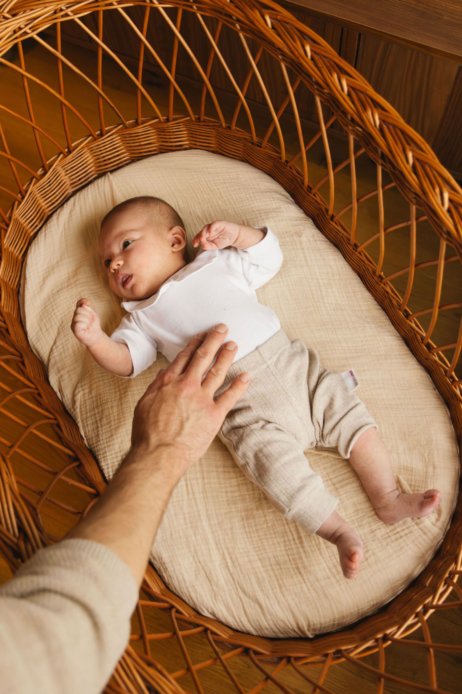 Newborn lying in a crib with the father’s hand gently resting on the baby.
