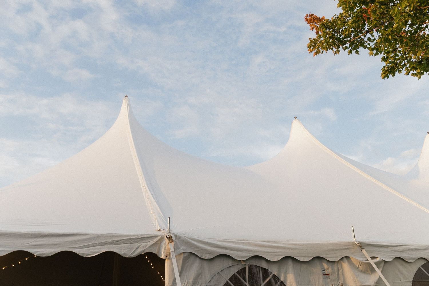 White wedding tent peaks rise against a blue sky with autumn tree branches visible in the corner.