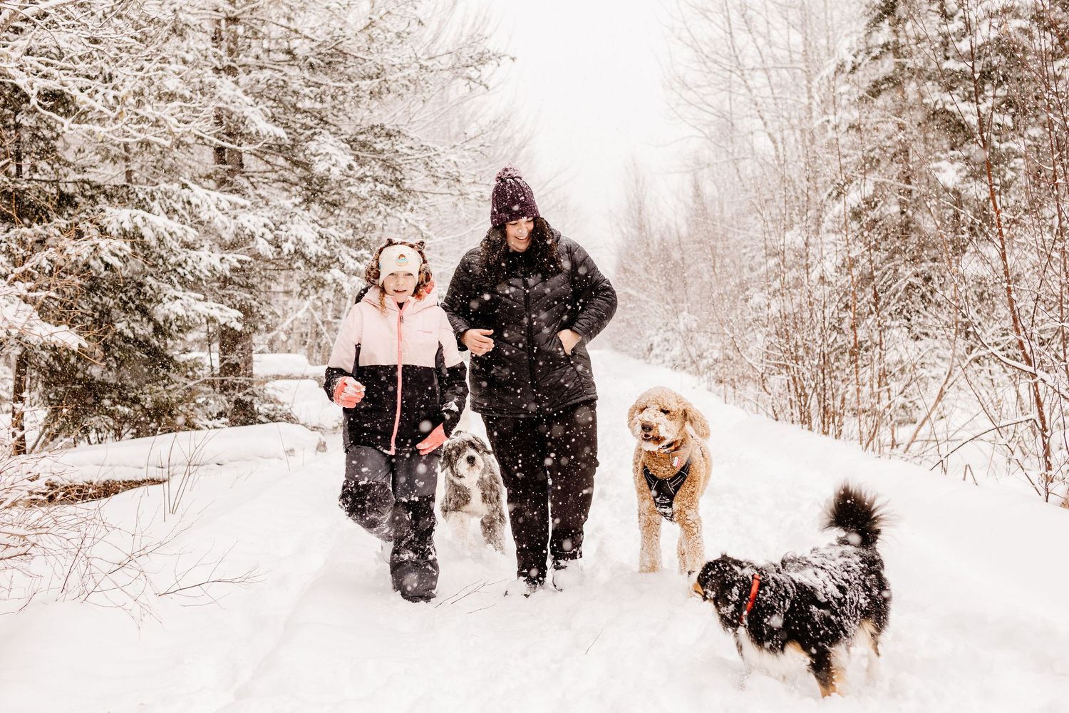 Two people walk three dogs on a snowy forest trail during a winter snowfall.