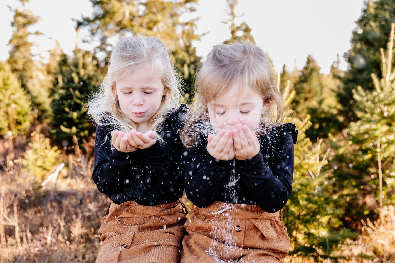 Two blonde toddlers in black sweaters blow sparkling snow from their hands outdoors near evergreen trees.