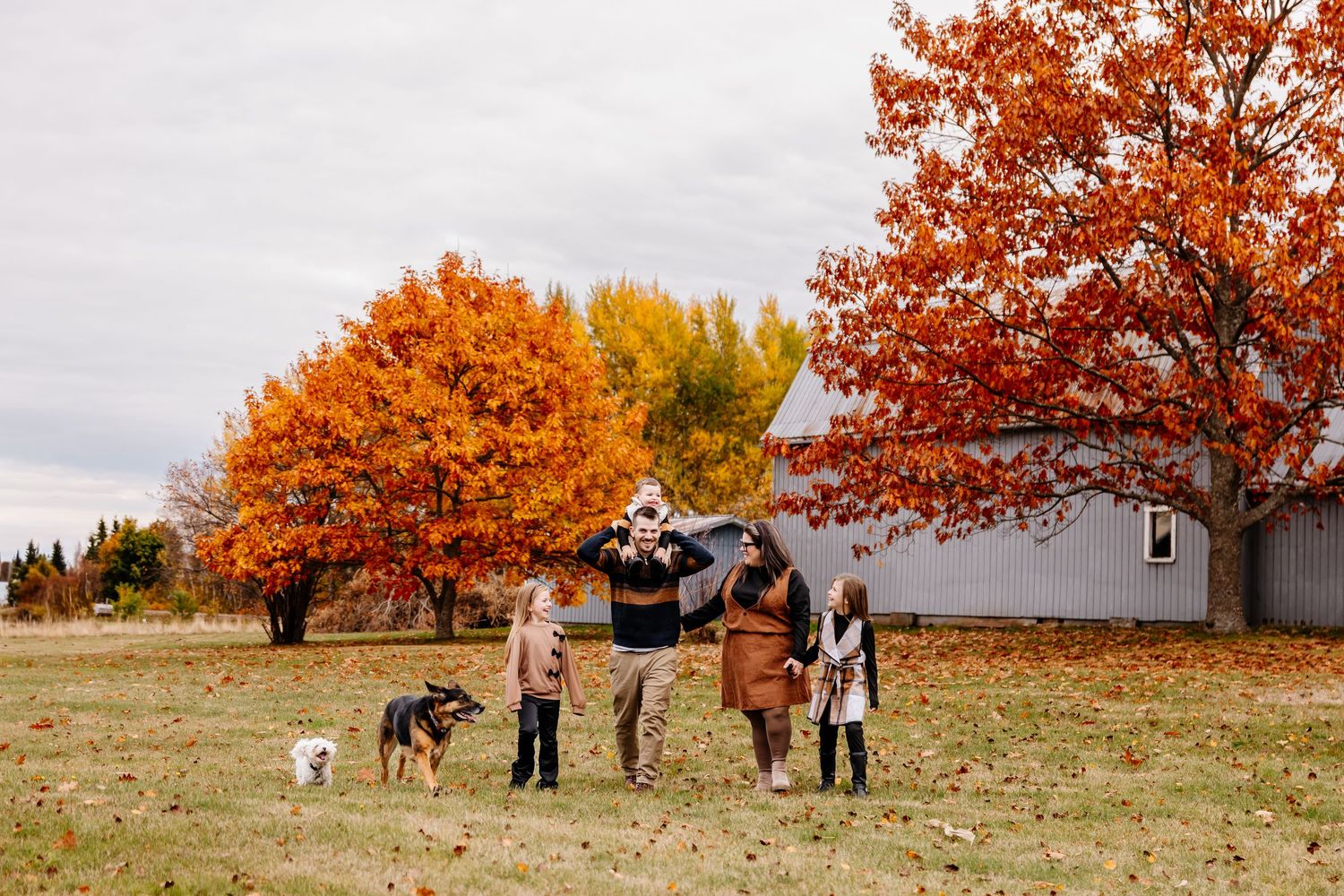 Family with dog and horse enjoying autumn day on farm with colorful fall trees. Cocagne