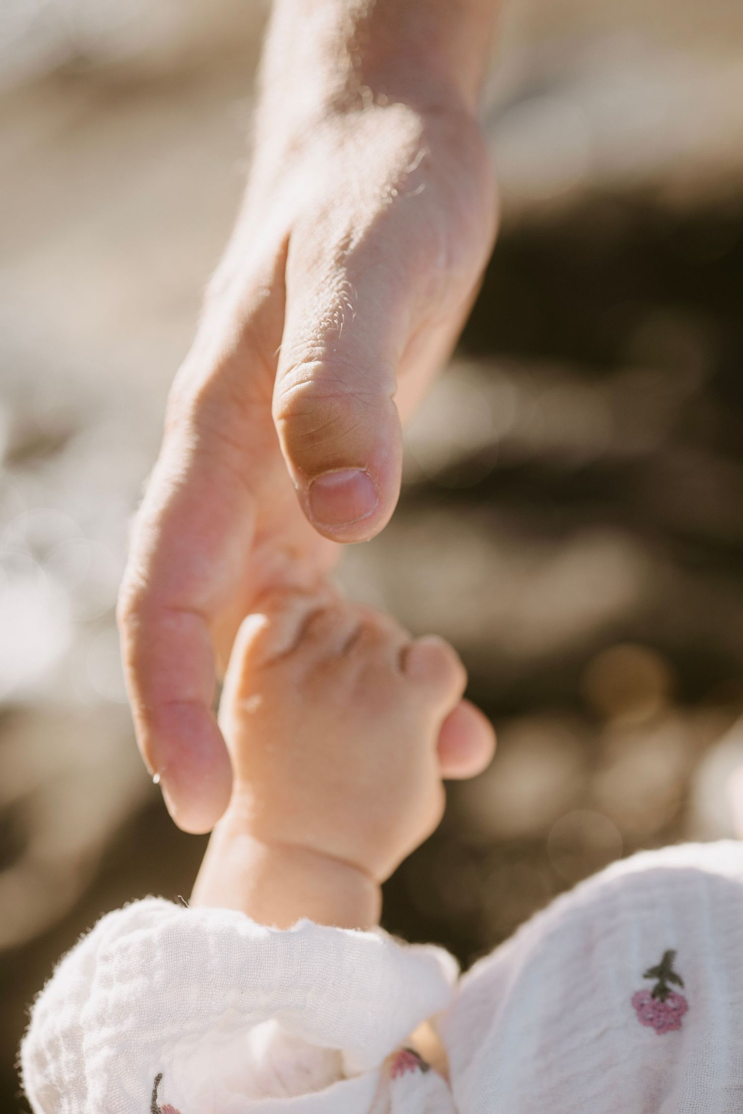 Close-up of an adult hand gently holding a tiny baby's foot in warm golden sunlight.