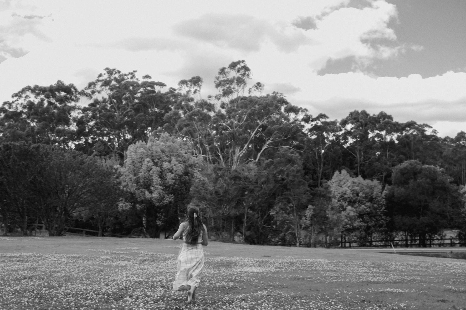 Bride in a white dress walking through a lush green field surrounded by tall eucalyptus trees.