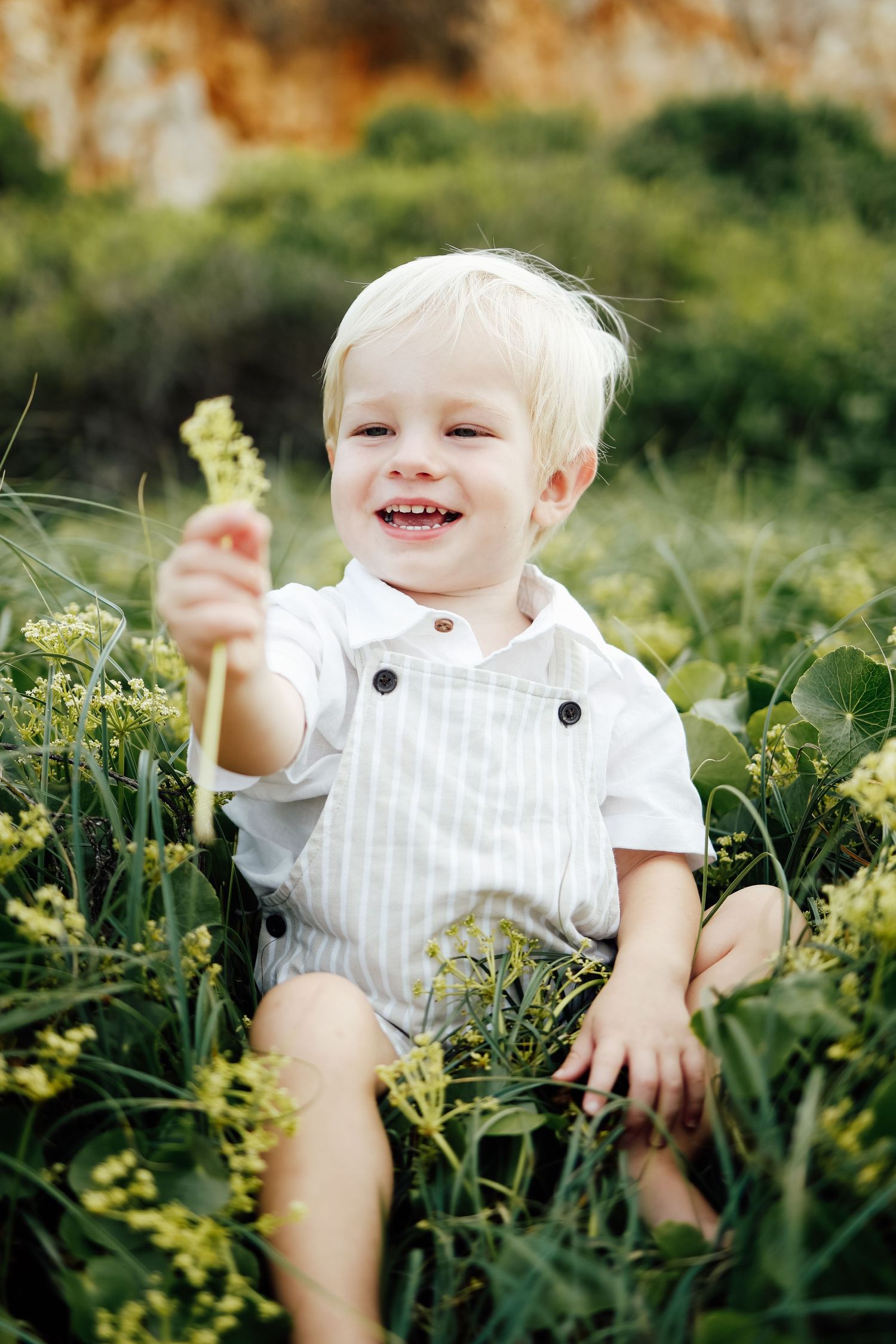 Happy toddler boy in striped overalls holding wildflower while sitting in green grass.