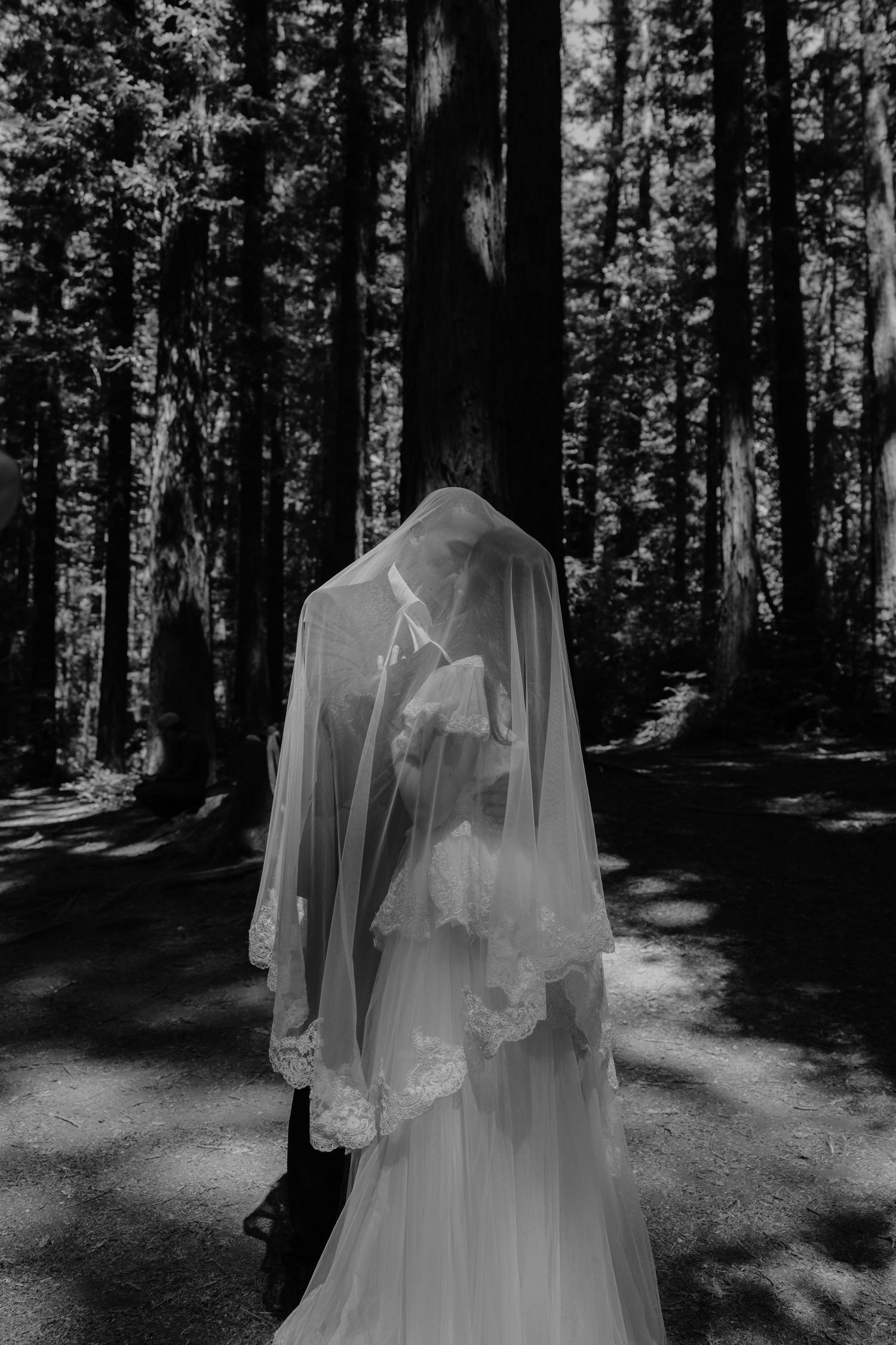 Black and white photo of bride covered by lace-trimmed veil walking through tall forest trees.