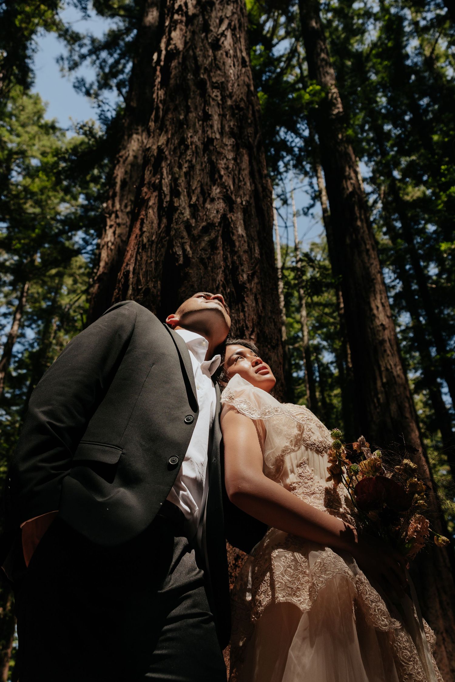 Bride and groom gazing up at towering redwood trees, bride in lace gown holding bouquet in forest.