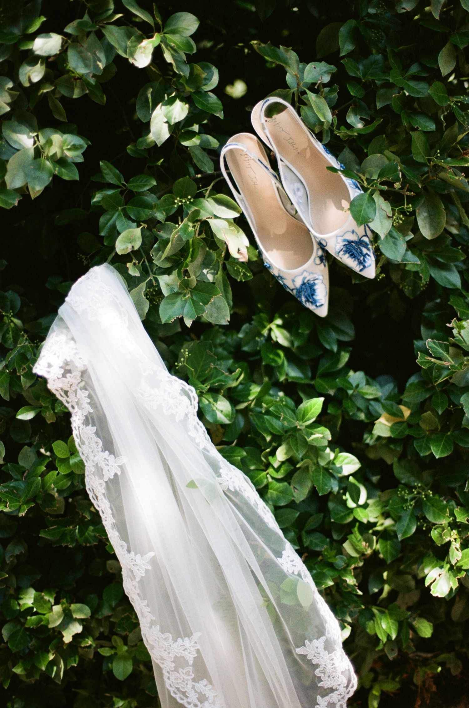 Bridal veil with lace trim and blue floral pointed-toe heels displayed against lush green foliage backdrop.