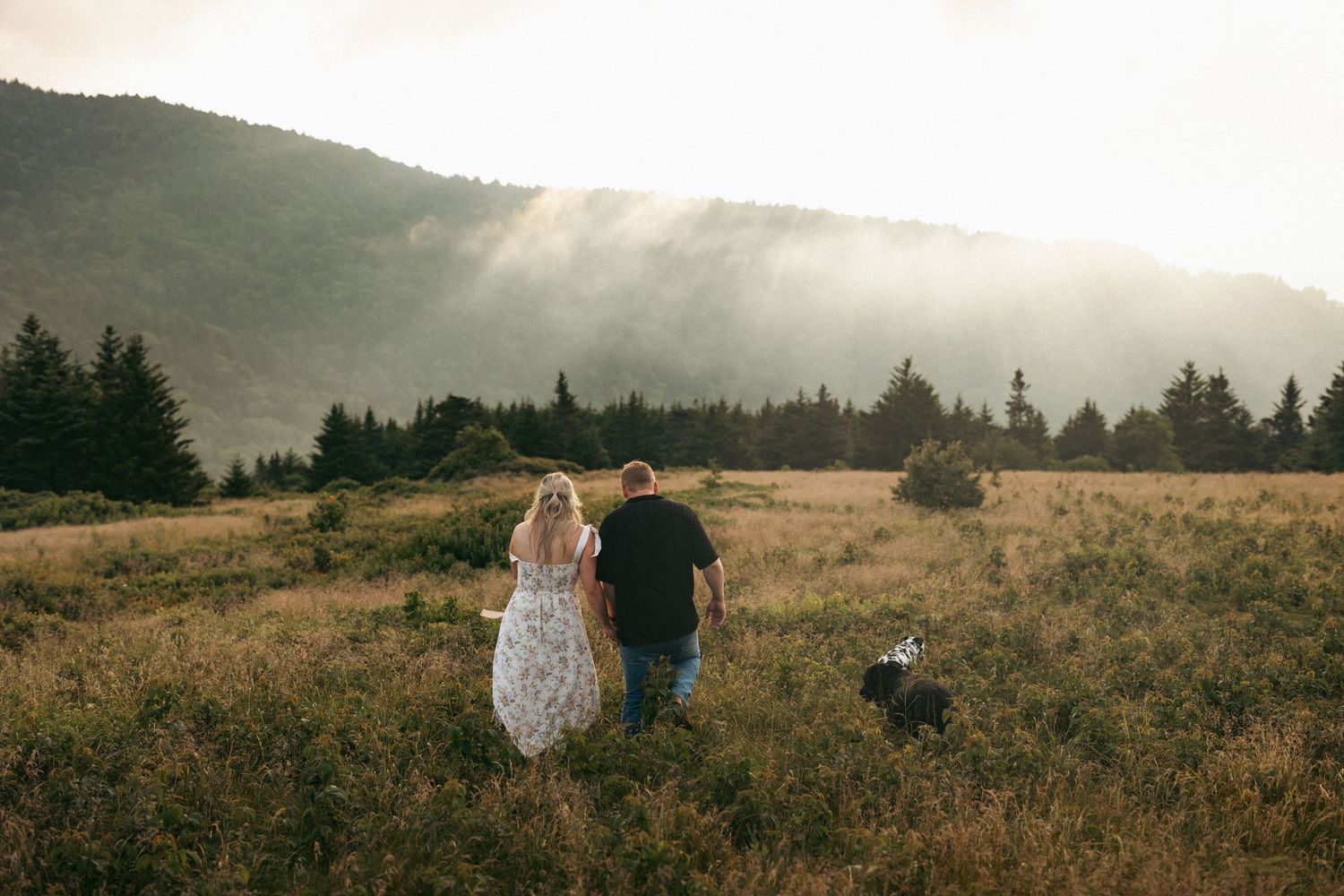 Roan mountain tennessee couples engagement session authentic emotive photography