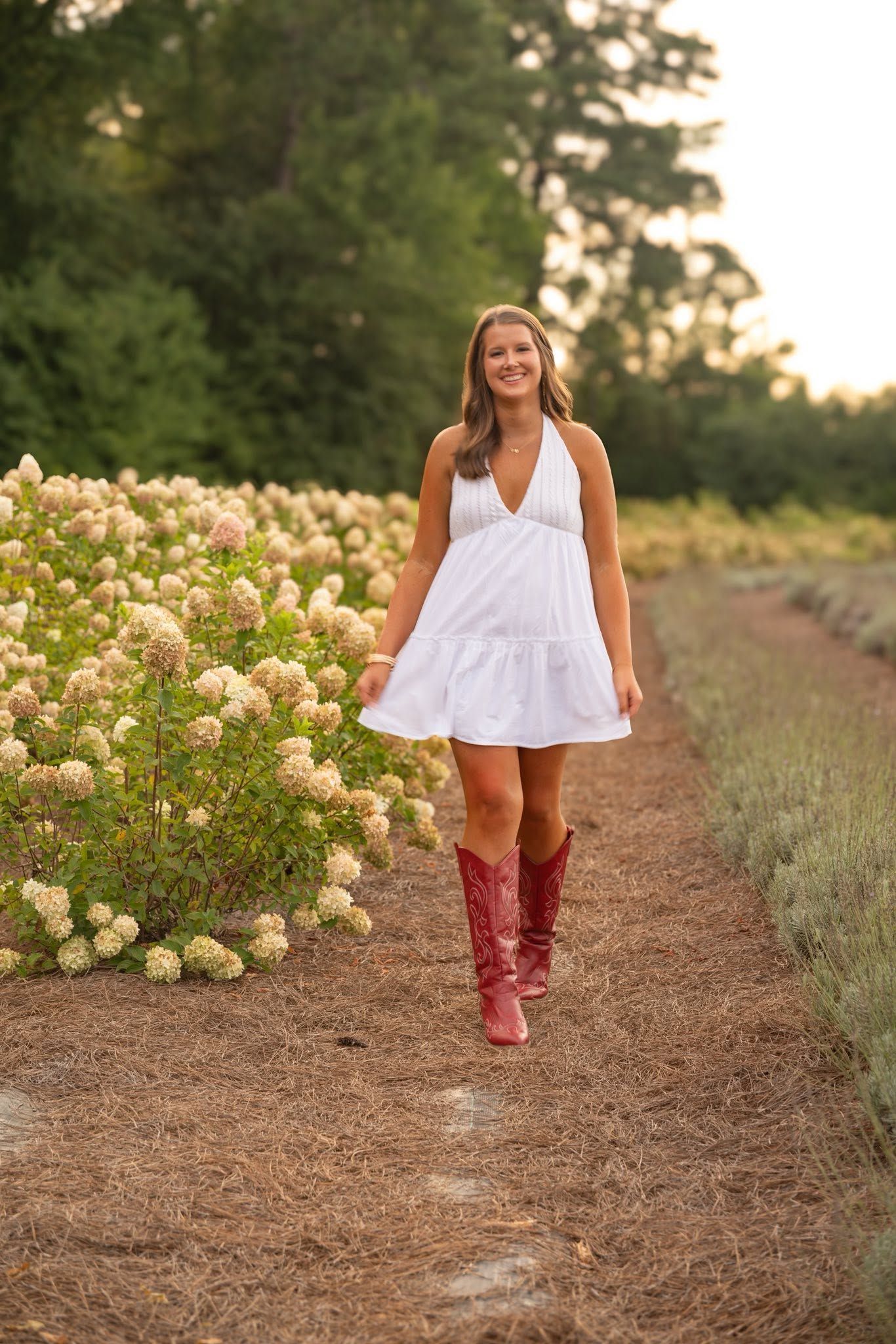 Young woman in white halter dress and red cowboy boots walks a garden path lined with blooming hydrangeas at sunset.